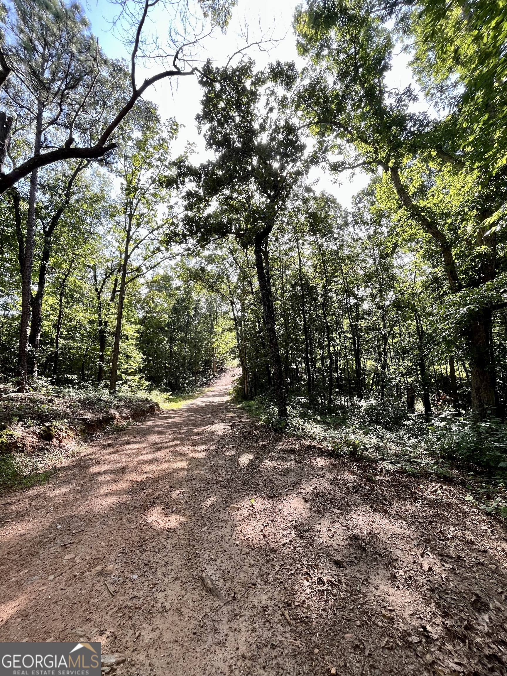 621 Rance Foster Road Bowdon GA 30108
