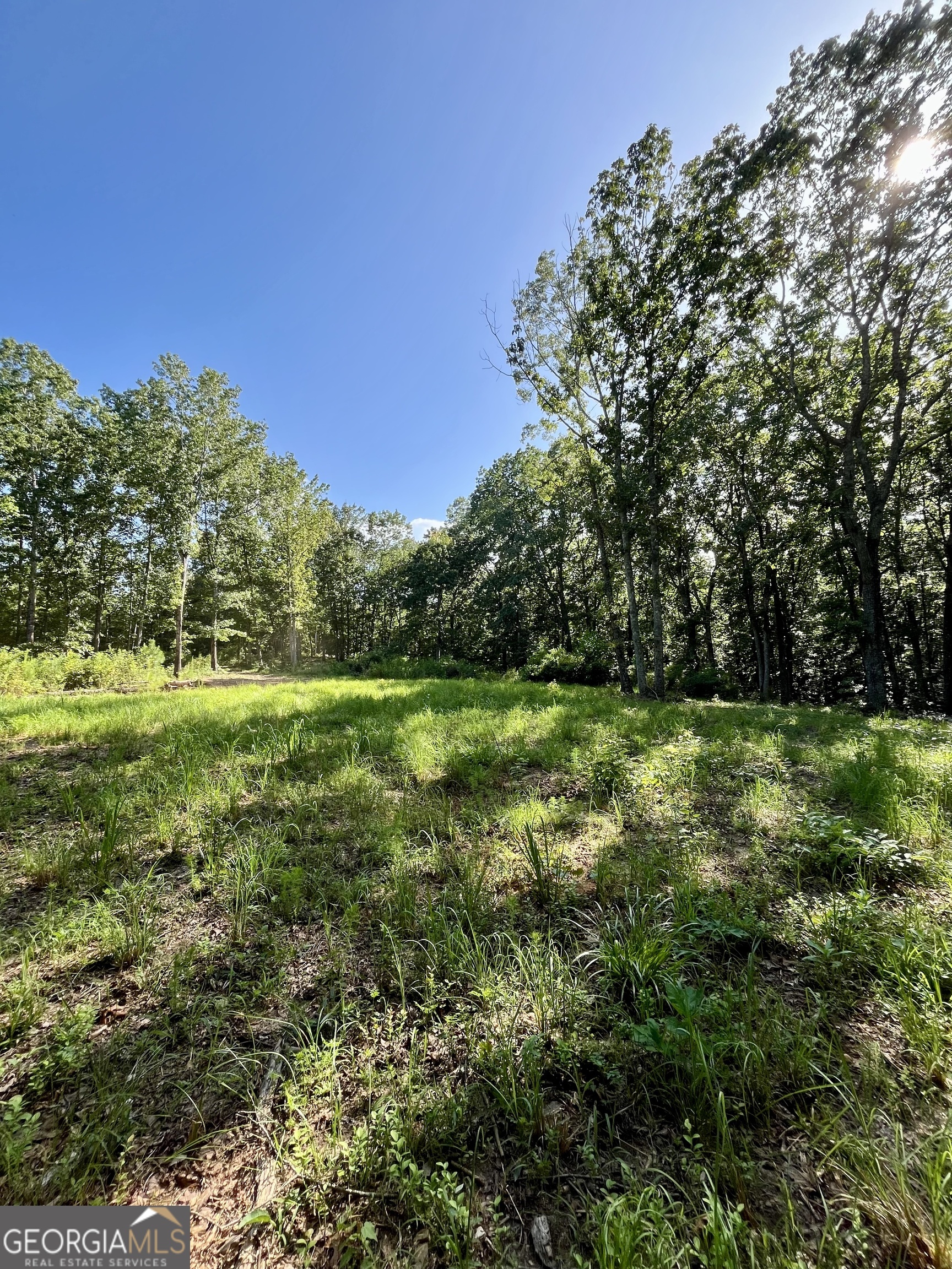 621 Rance Foster Road Bowdon GA 30108