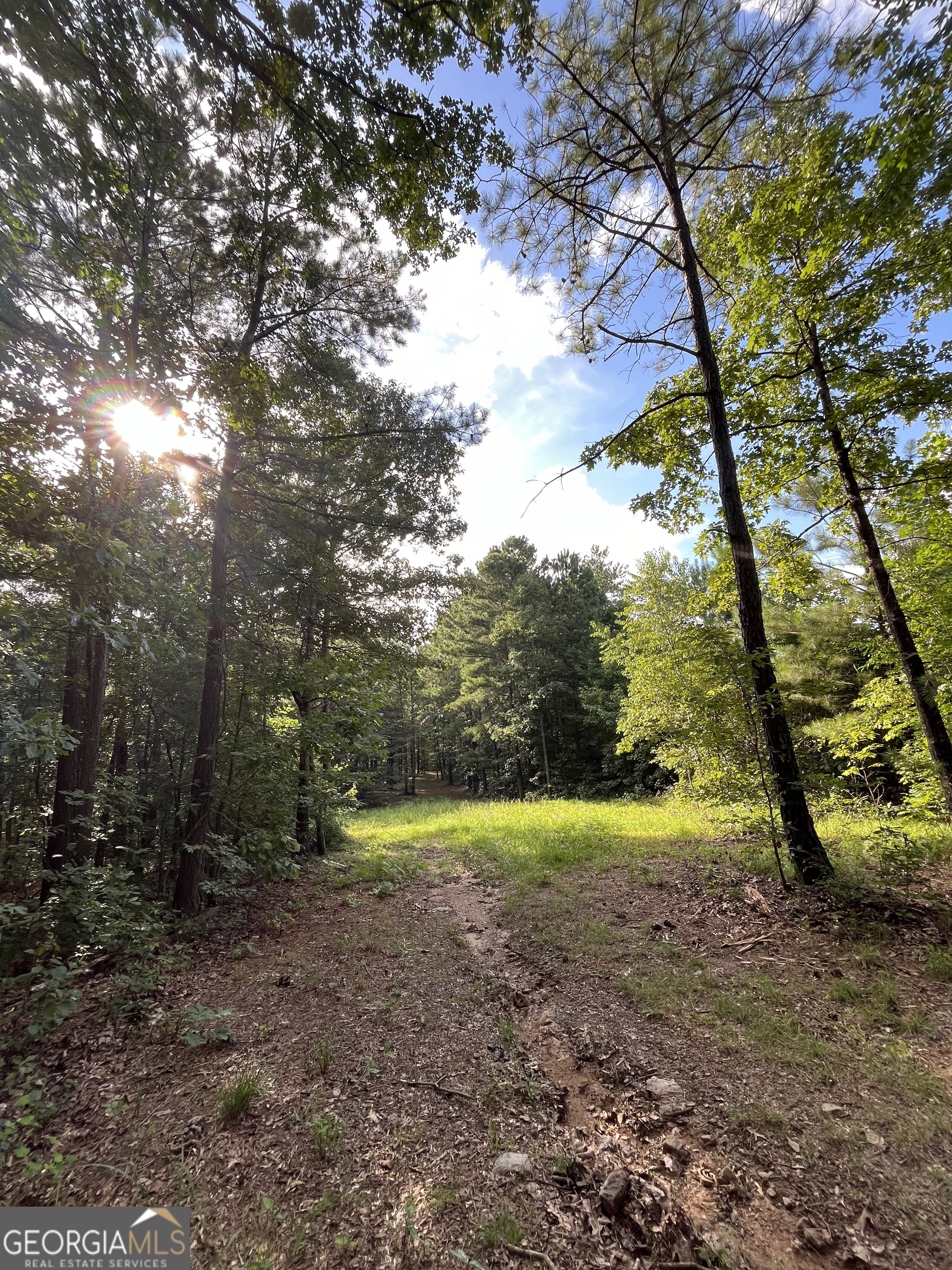 621 Rance Foster Road Bowdon GA 30108