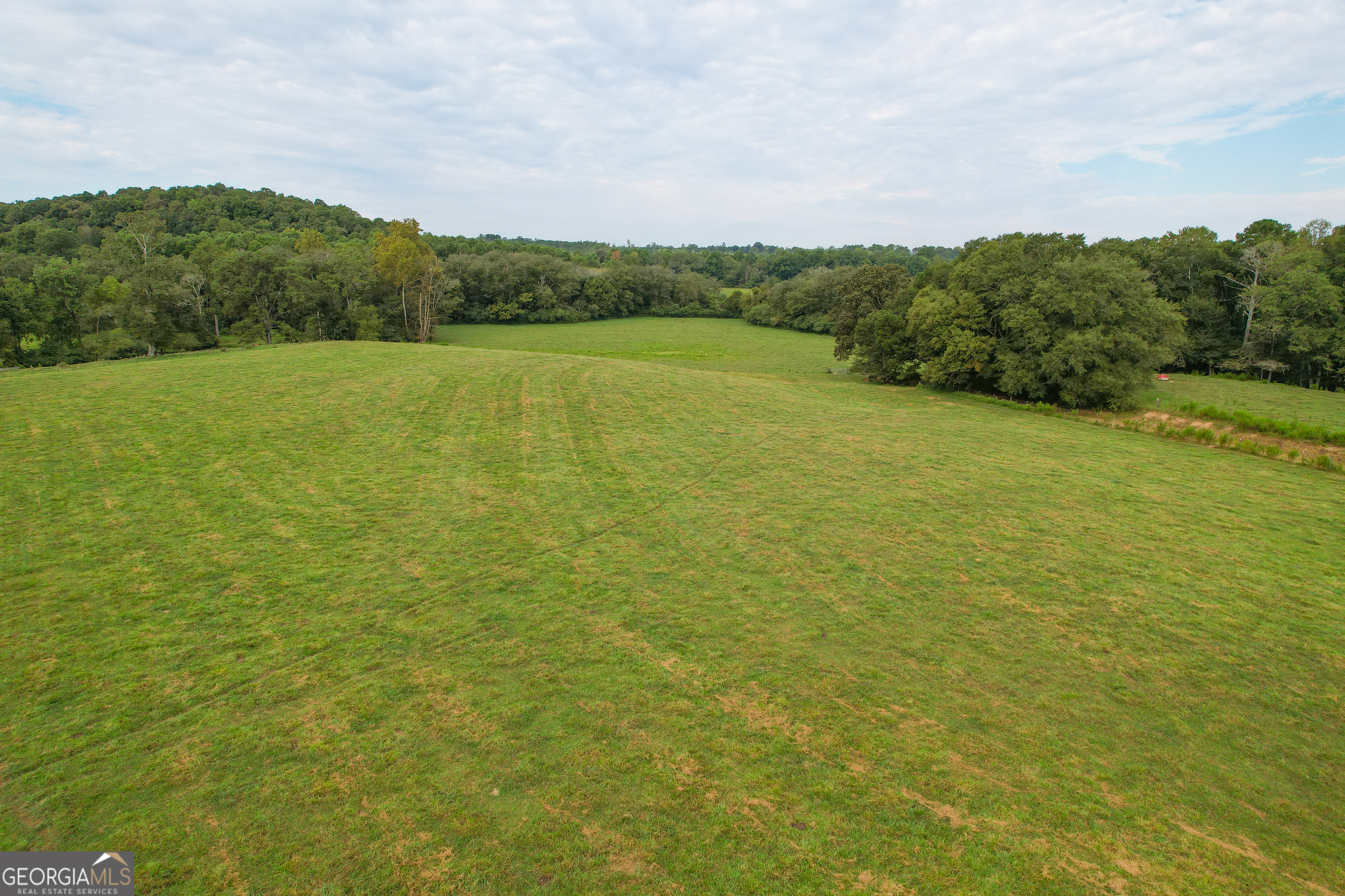 60 +/- Acres At 295 J Davis Road Tallapoosa GA 30176