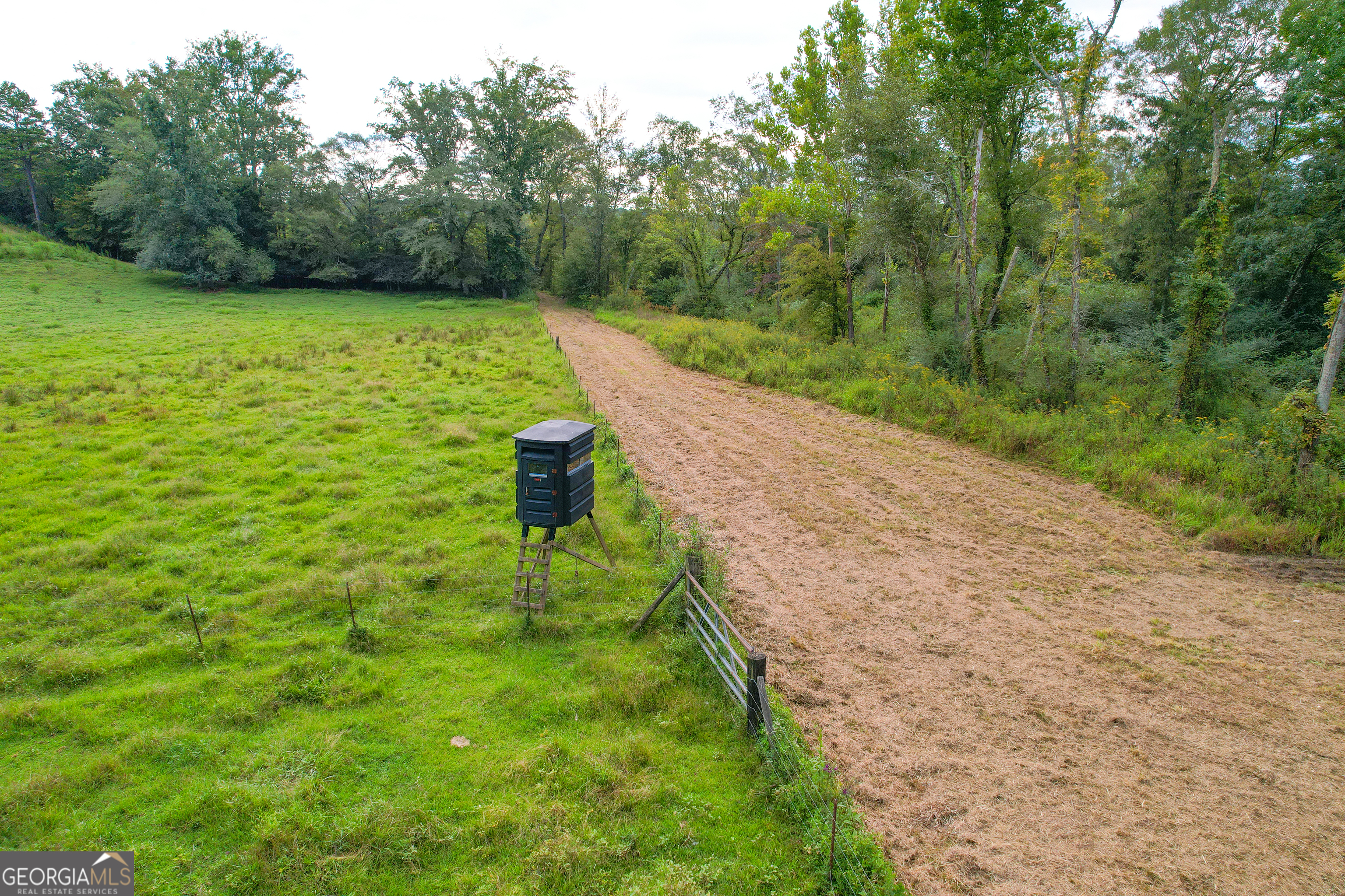 60 +/- Acres At 295 J Davis Road Tallapoosa GA 30176