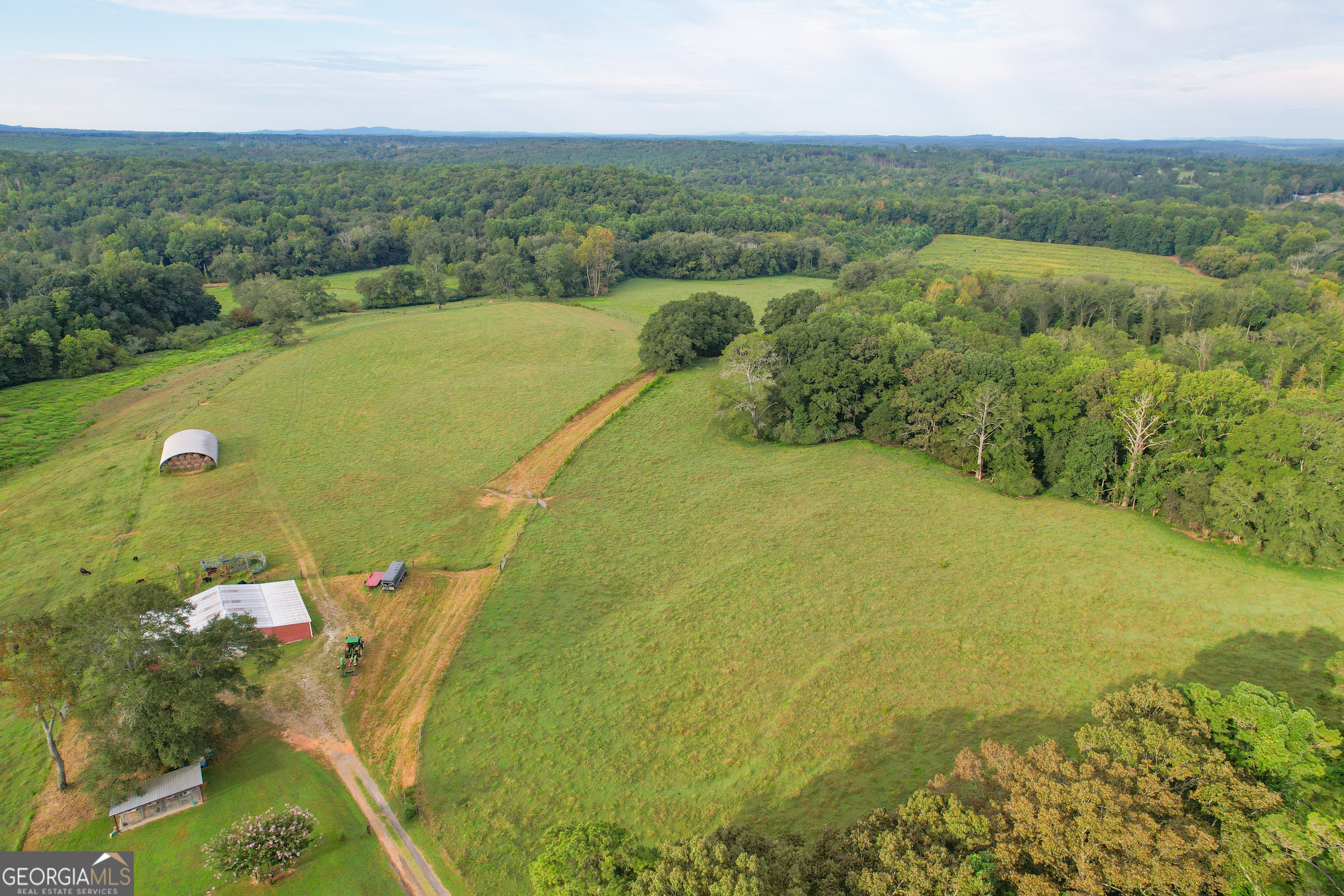 60 +/- Acres At 295 J Davis Road Tallapoosa GA 30176
