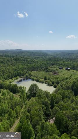 1943 Sandy Flats Road Cleveland GA 30528