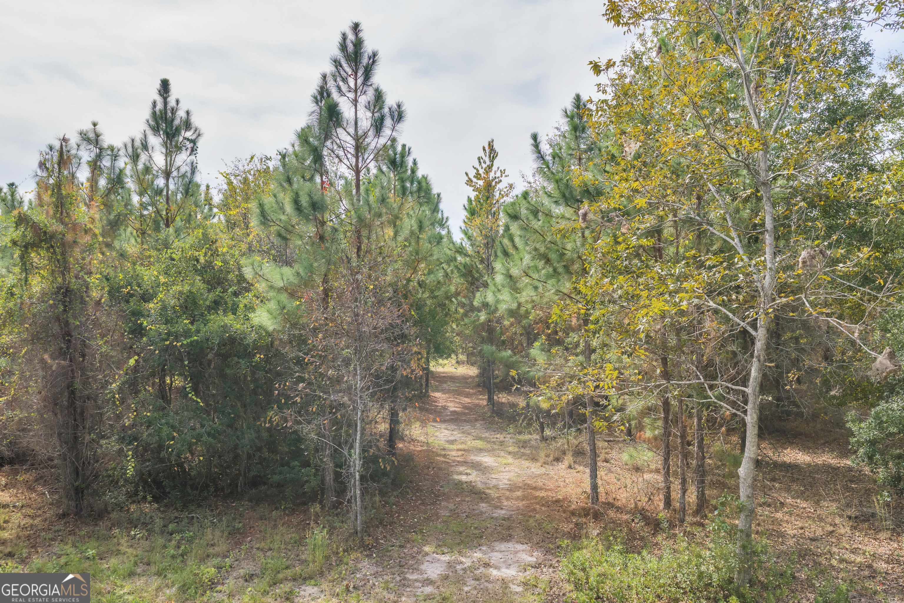 1864 Caulie Harris Road Adel GA 31620