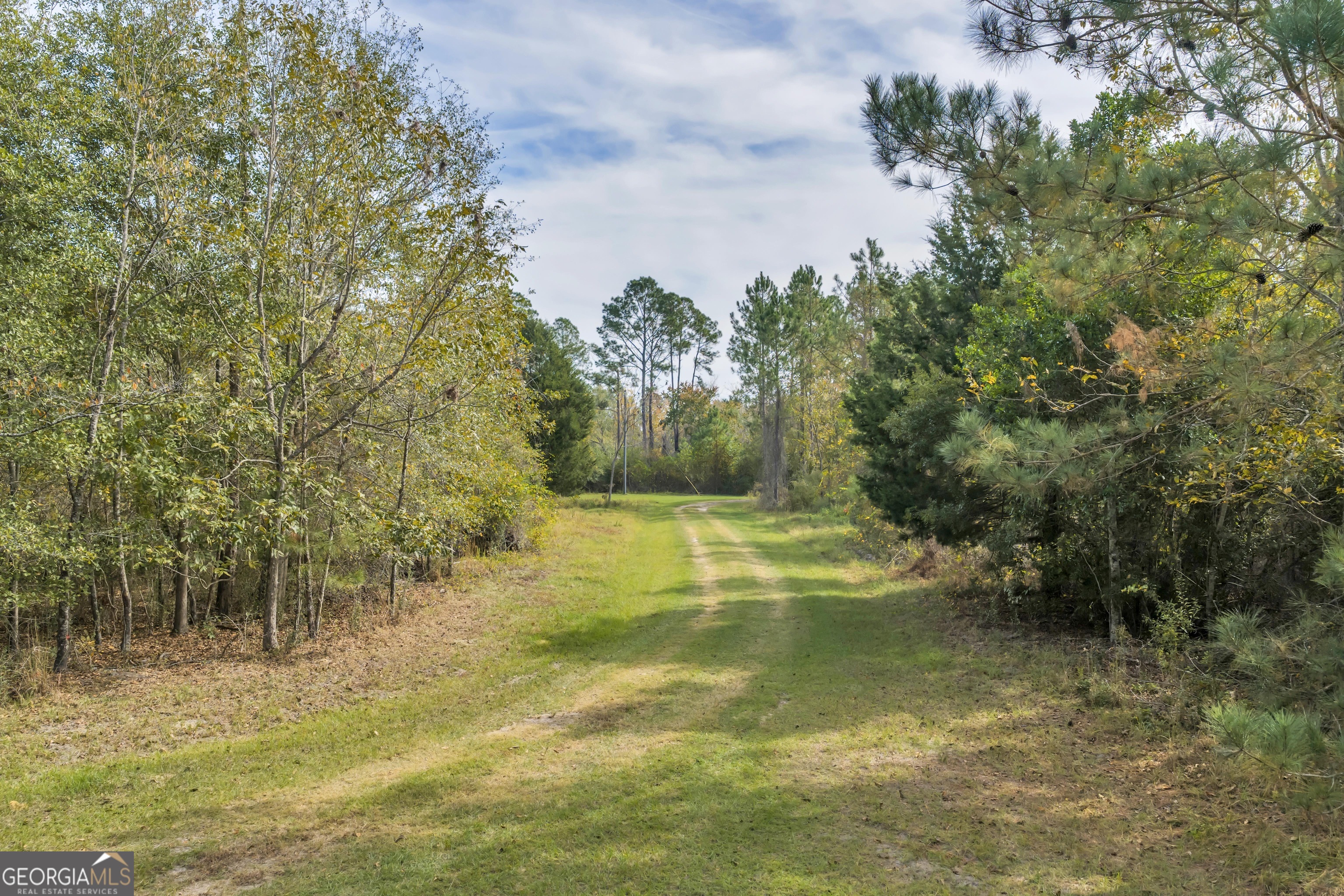 1864 Caulie Harris Road Adel GA 31620