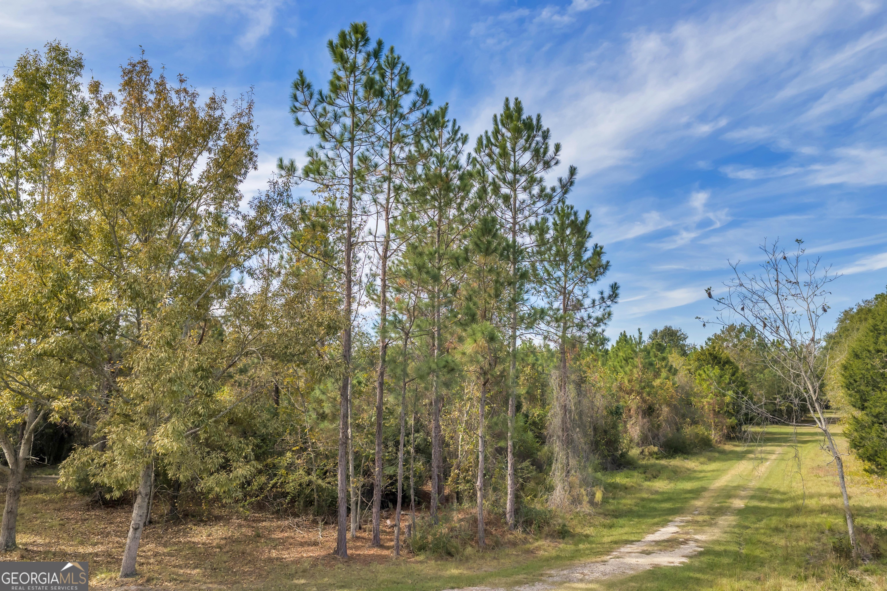 1864 Caulie Harris Road Adel GA 31620