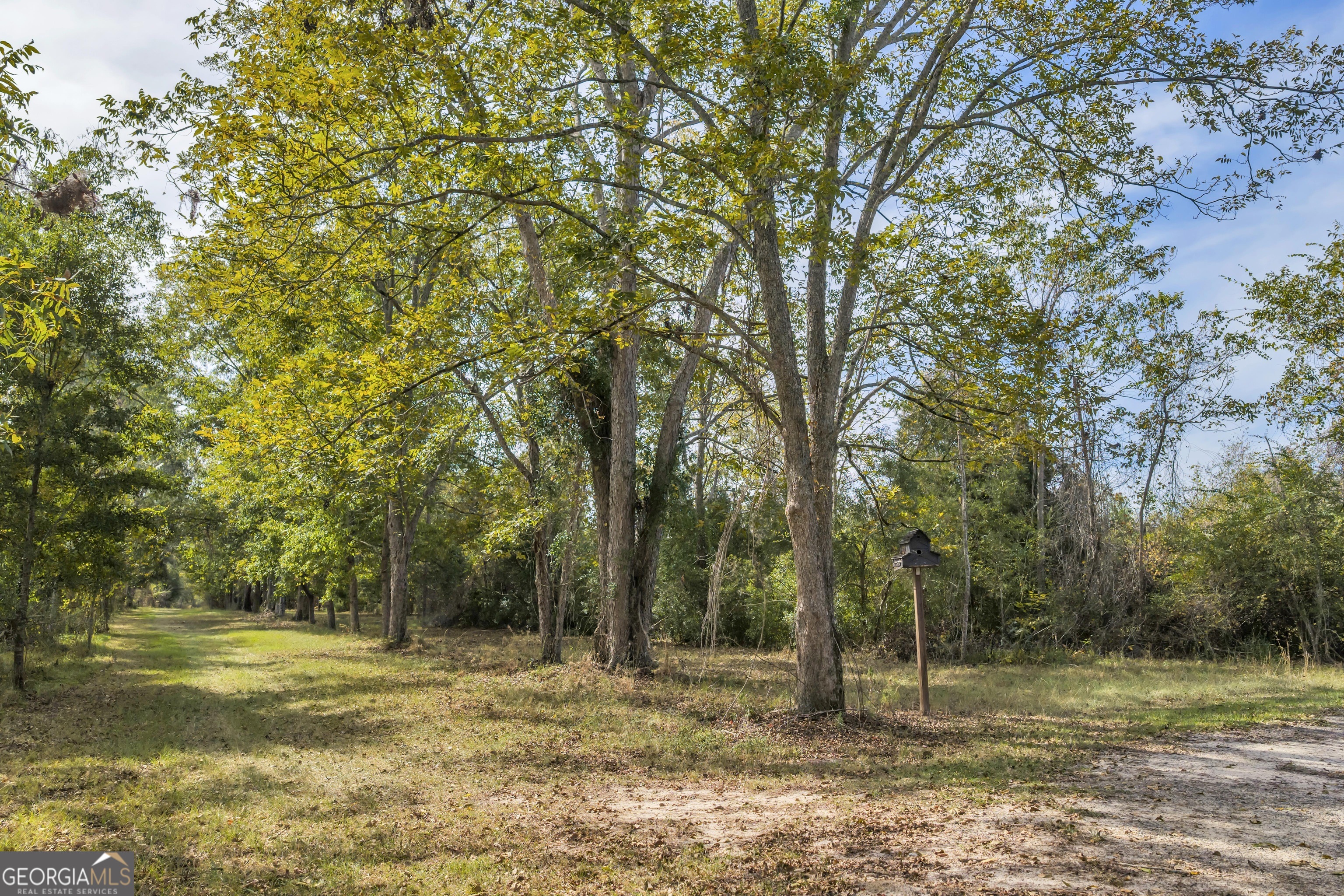1864 Caulie Harris Road Adel GA 31620