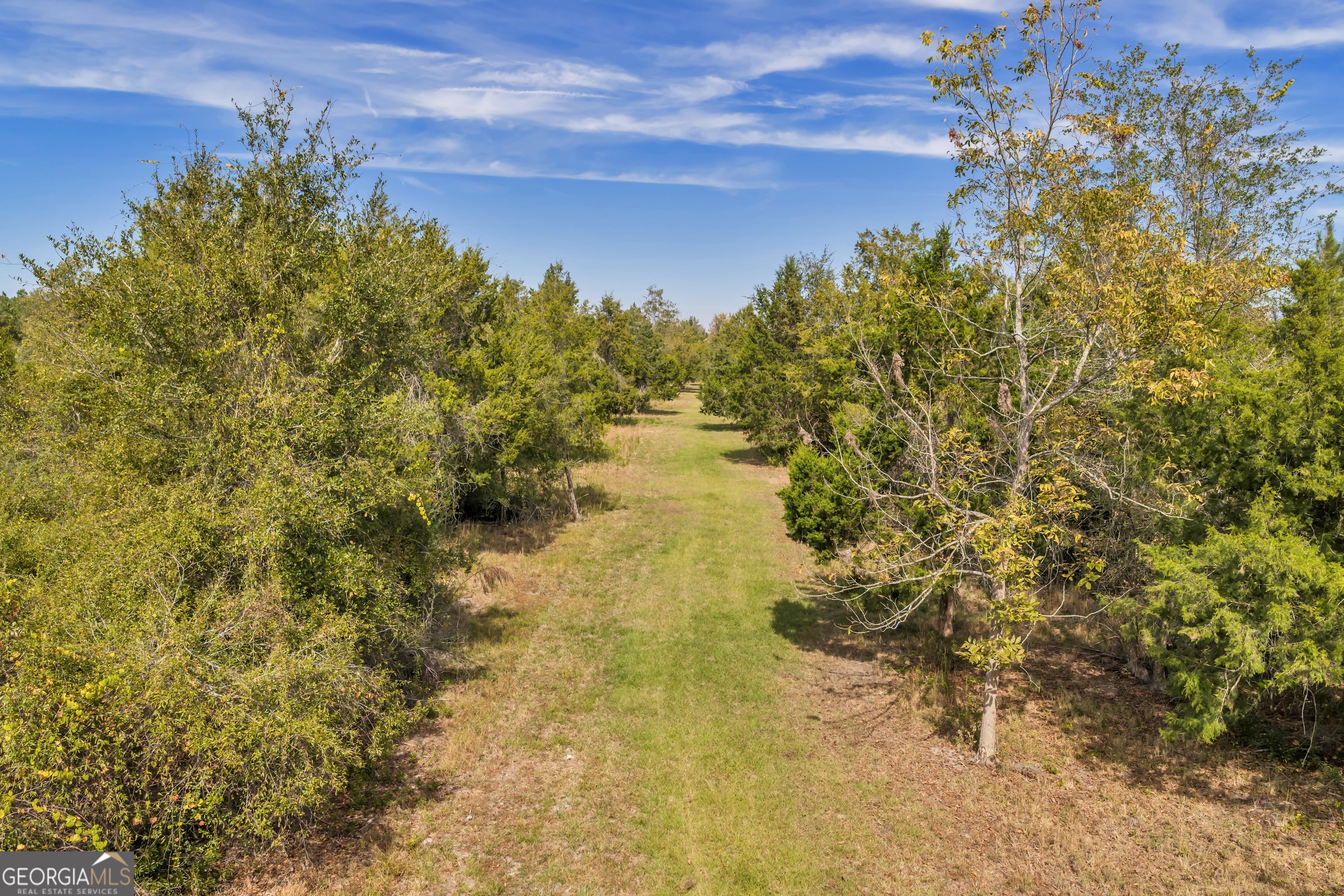 1864 Caulie Harris Road Adel GA 31620
