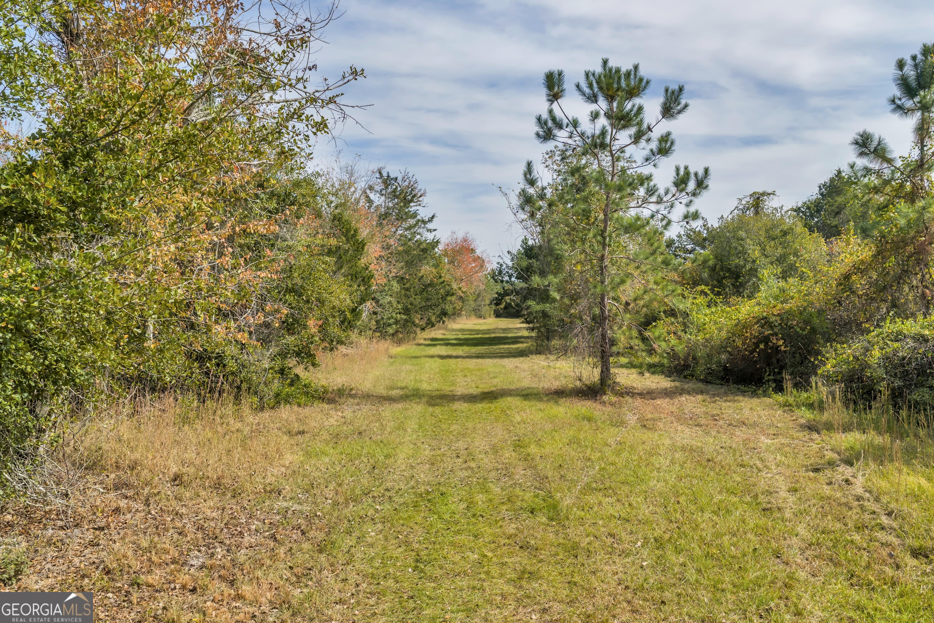 1864 Caulie Harris Road Adel GA 31620