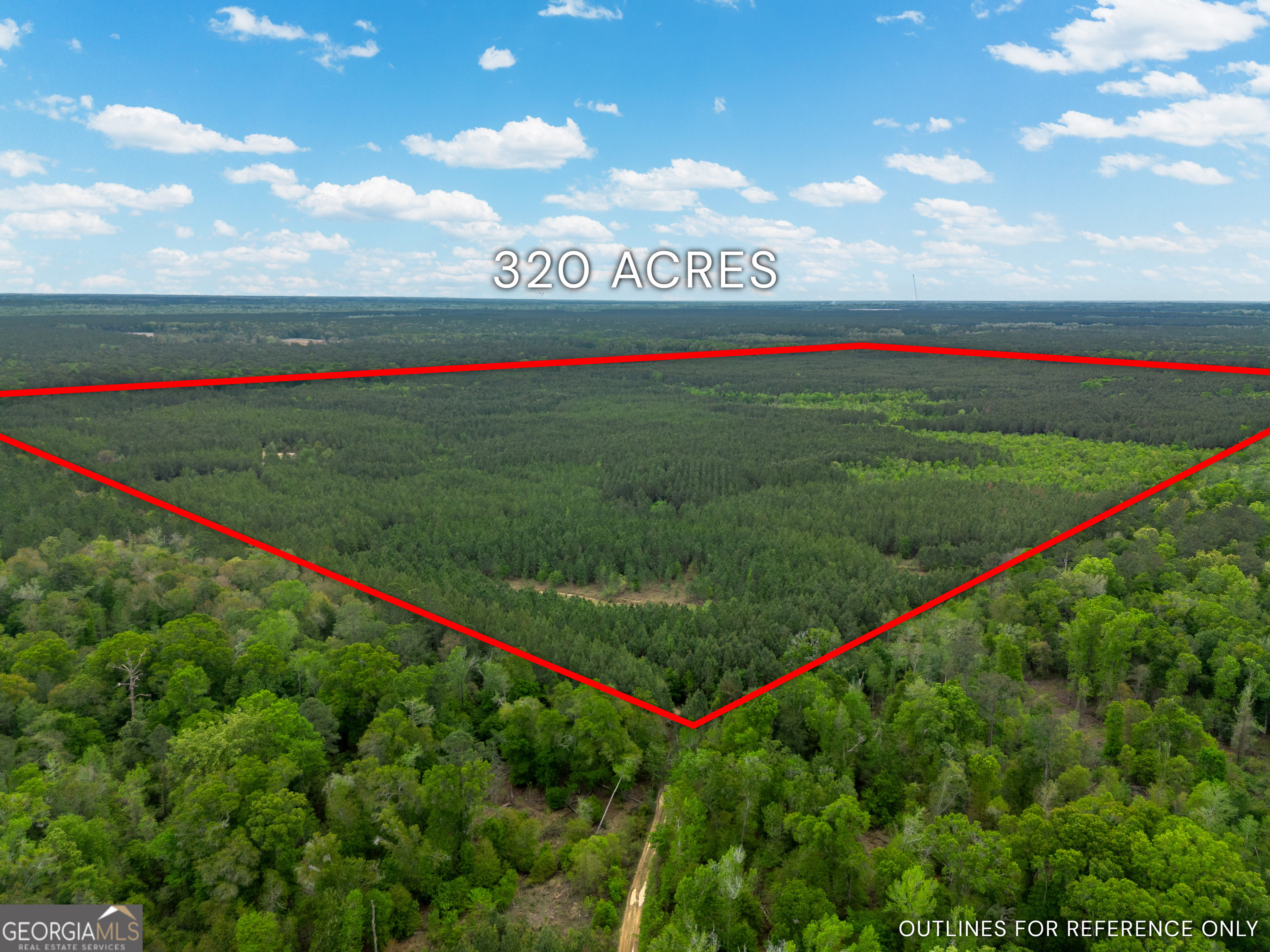0 Highway 129 Abbeville GA 31001
