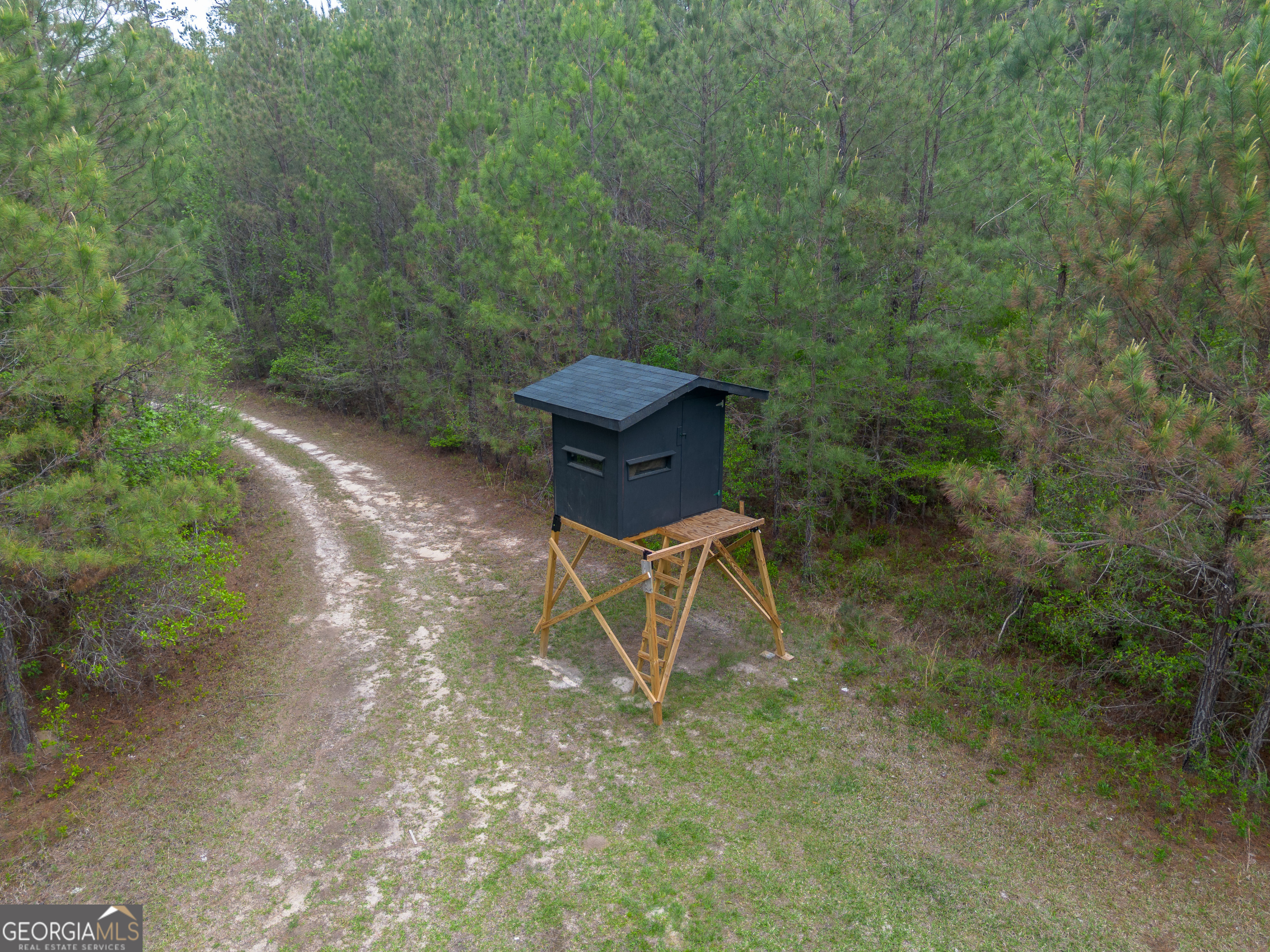 0 Highway 129 Abbeville GA 31001