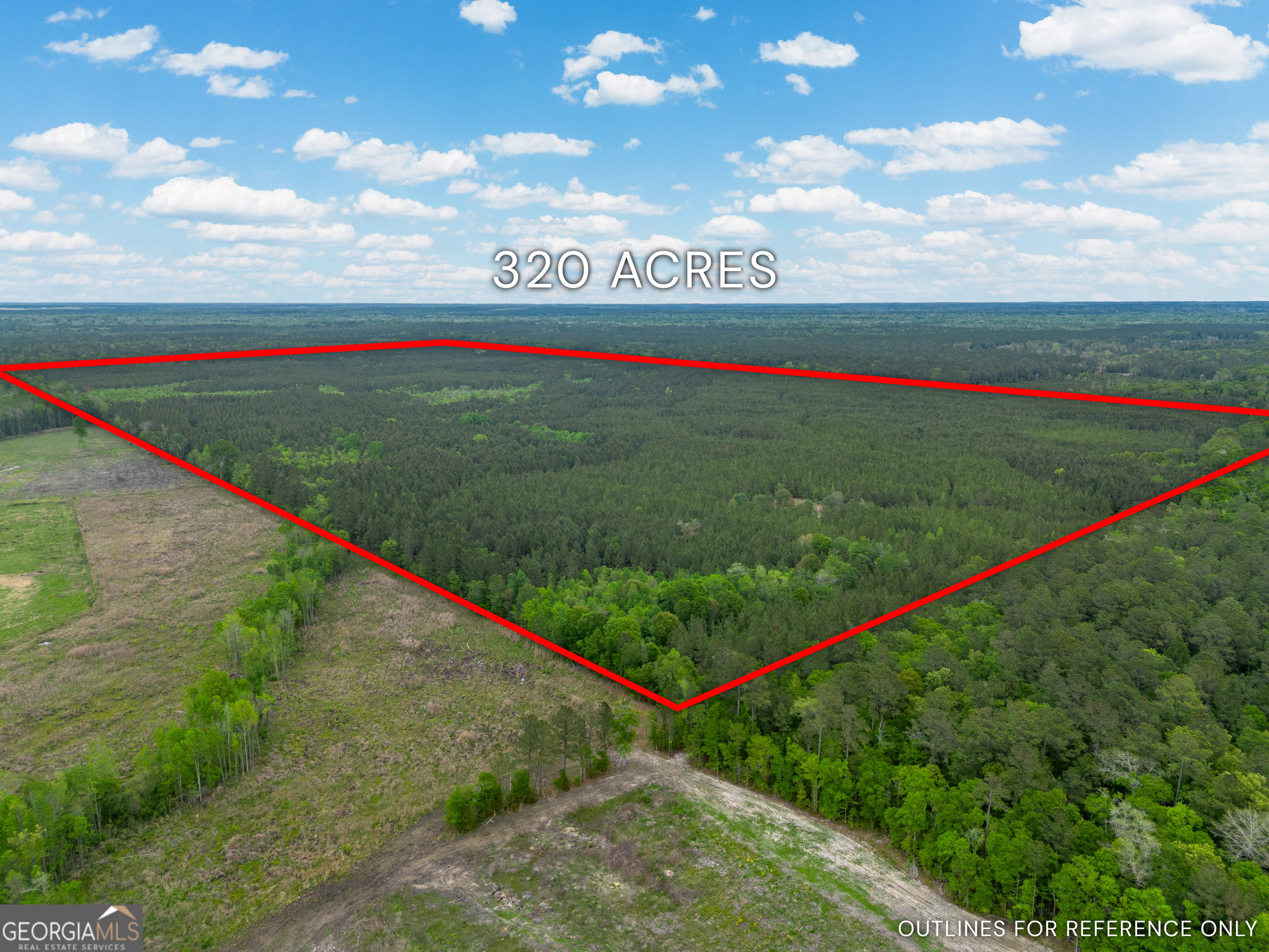 0 Highway 129 Abbeville GA 31001