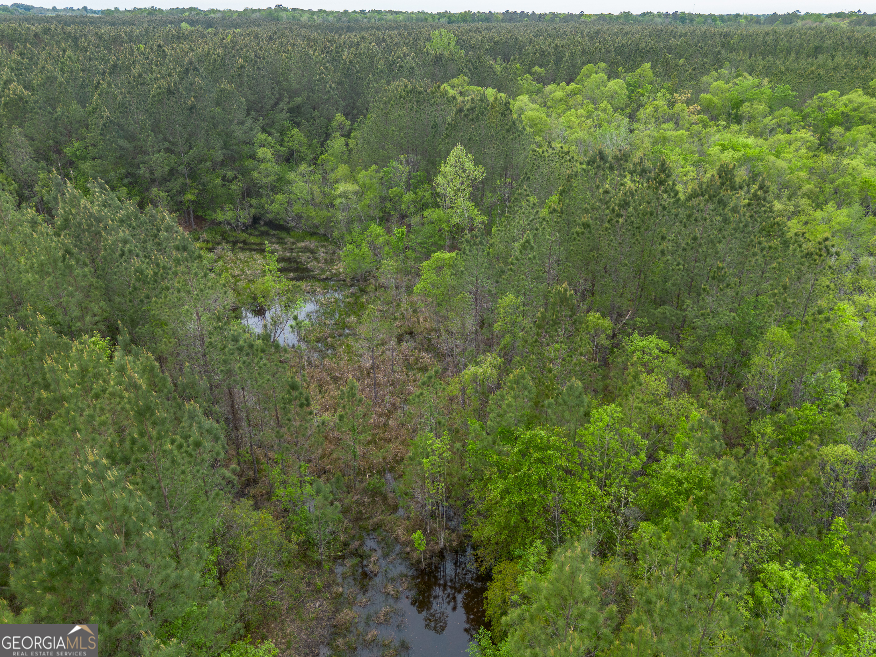 0 Highway 129 Abbeville GA 31001