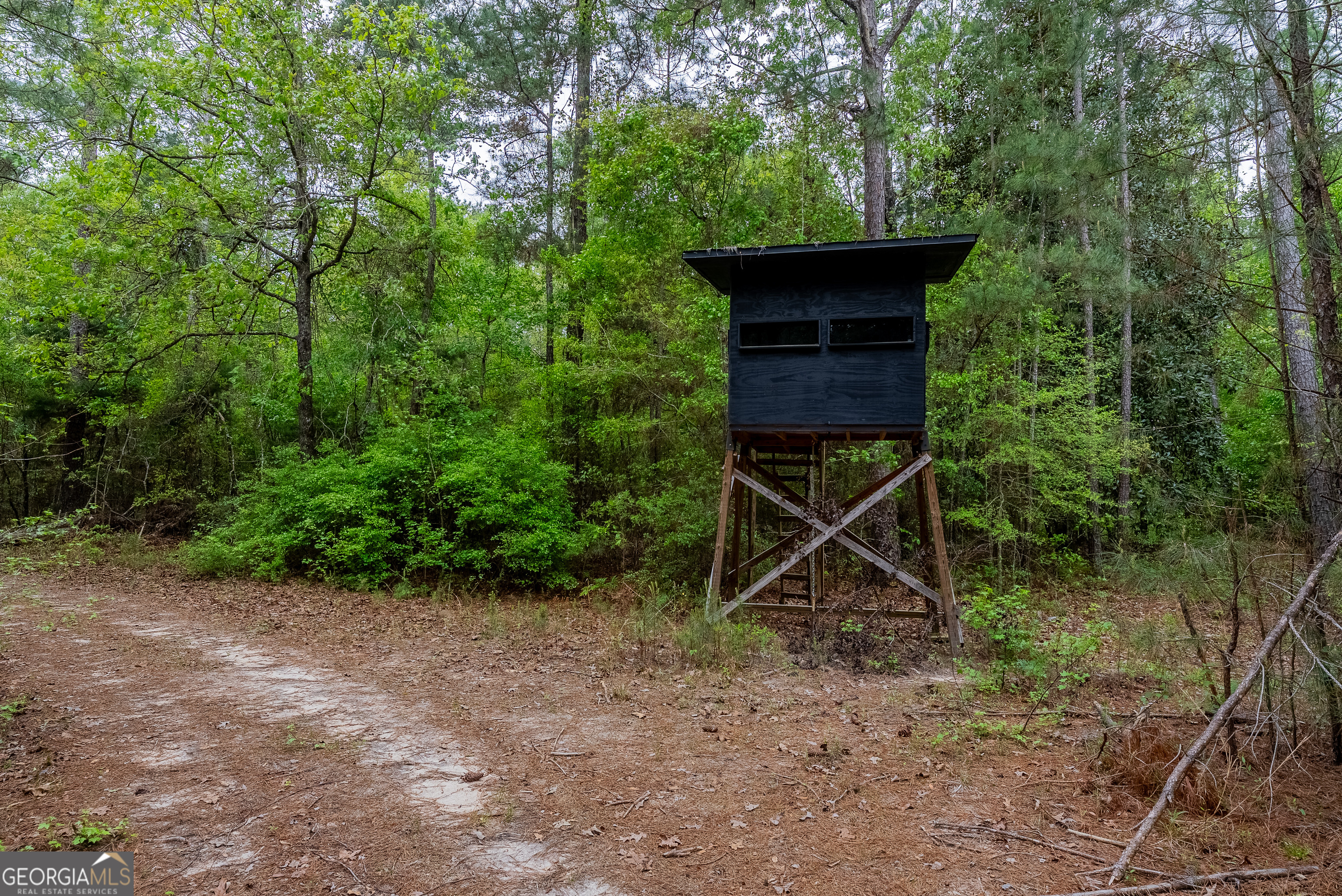 0 Highway 129 Abbeville GA 31001