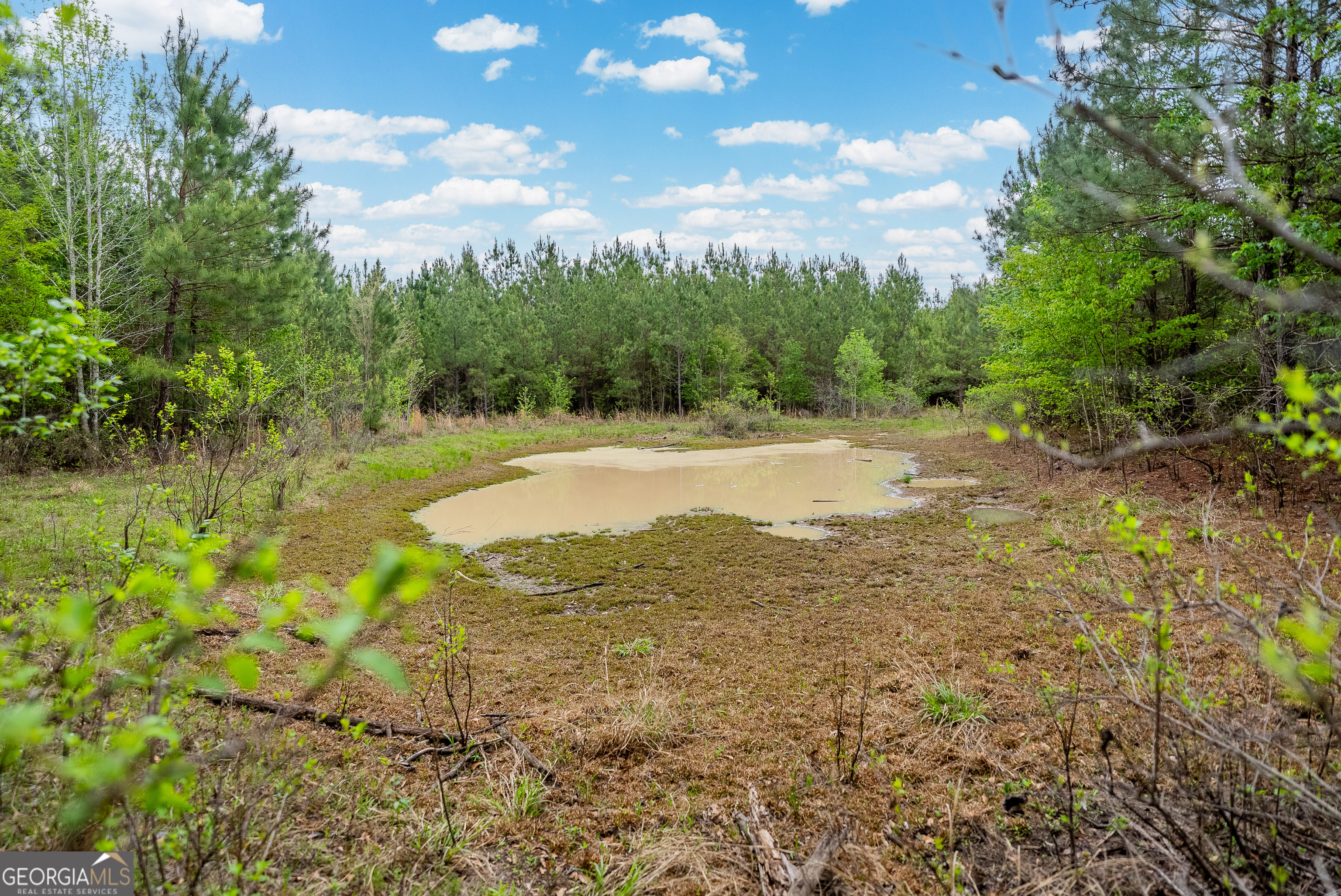 0 Highway 129 Abbeville GA 31001