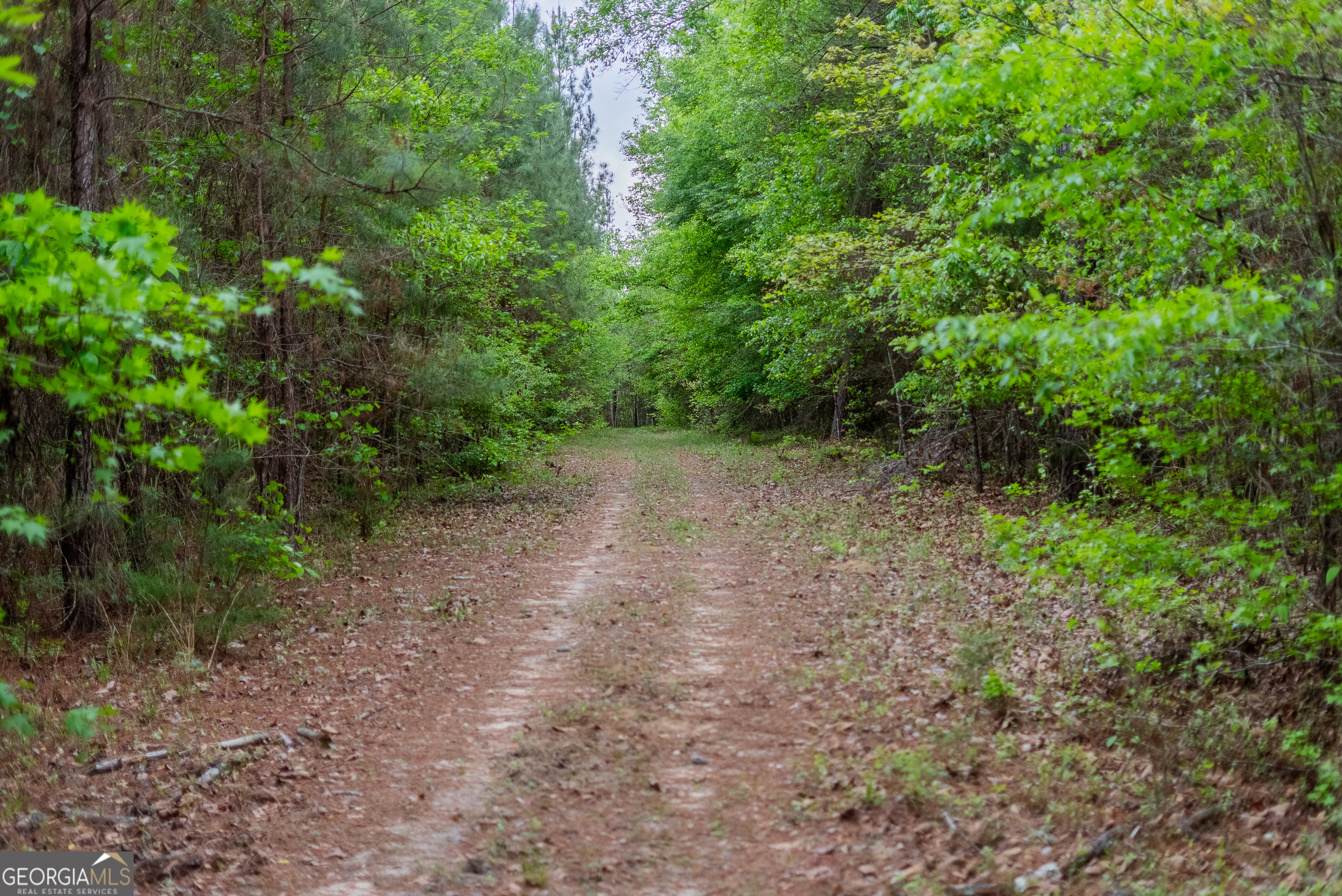 0 Highway 129 Abbeville GA 31001