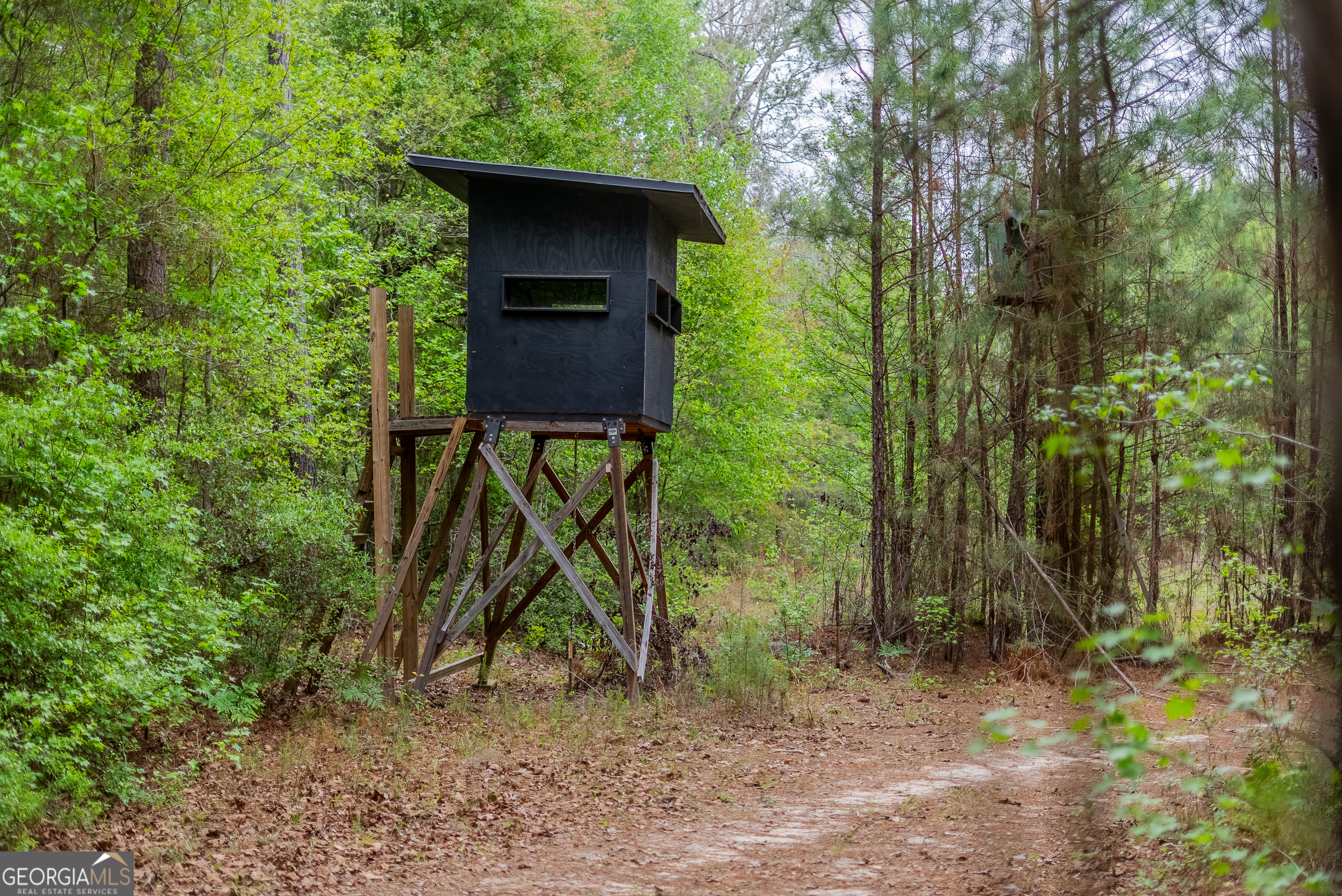 0 Highway 129 Abbeville GA 31001
