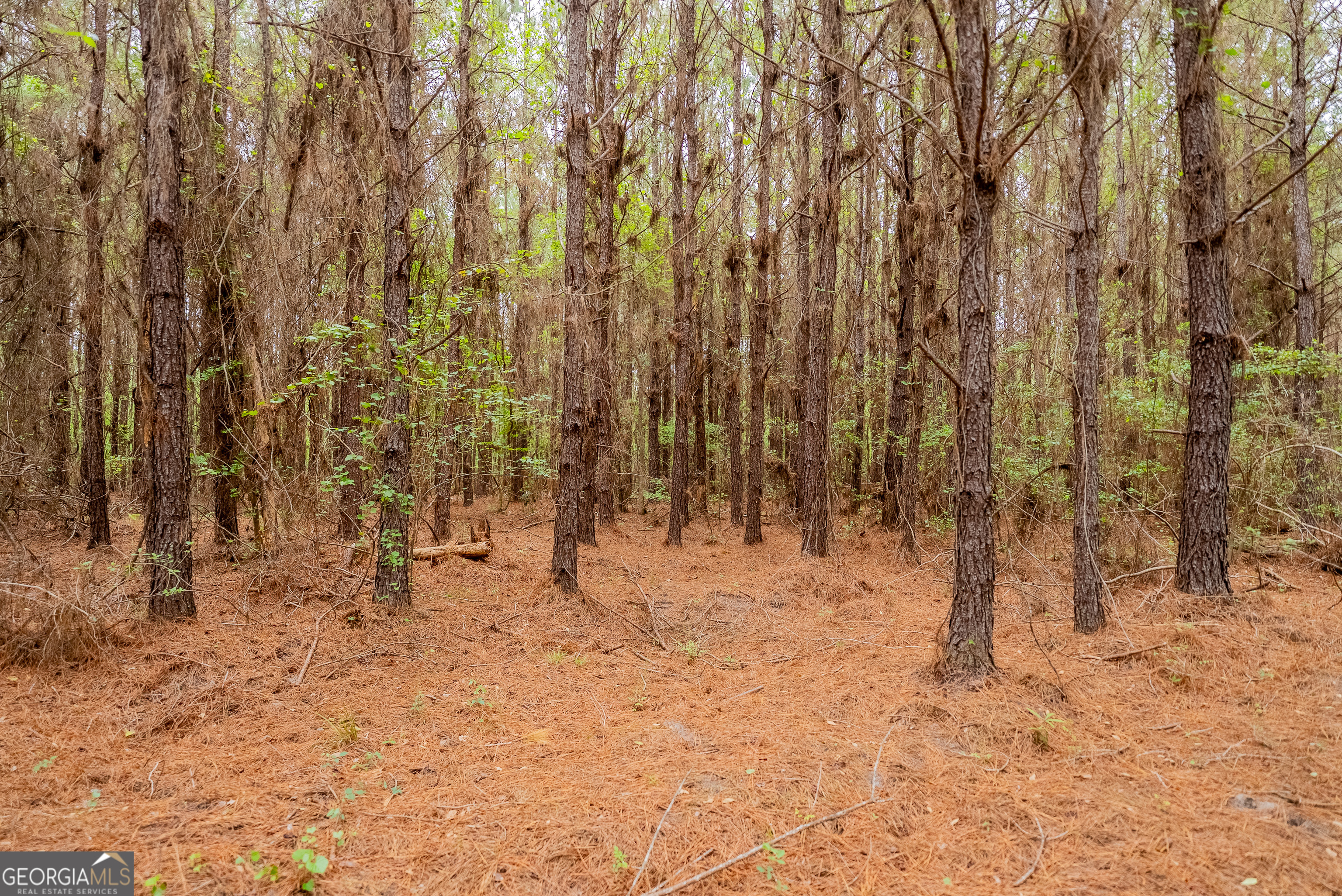 0 Highway 129 Abbeville GA 31001