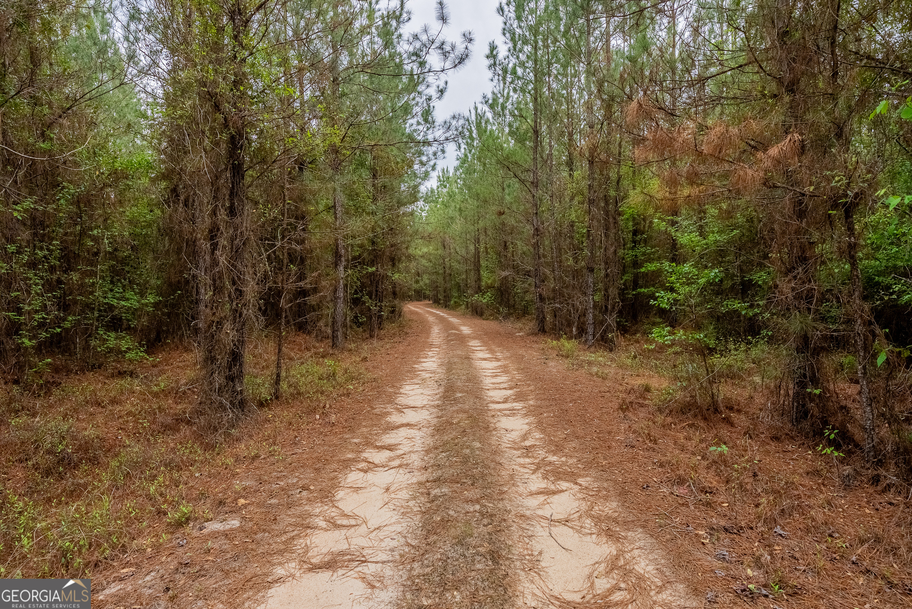 0 Highway 129 Abbeville GA 31001