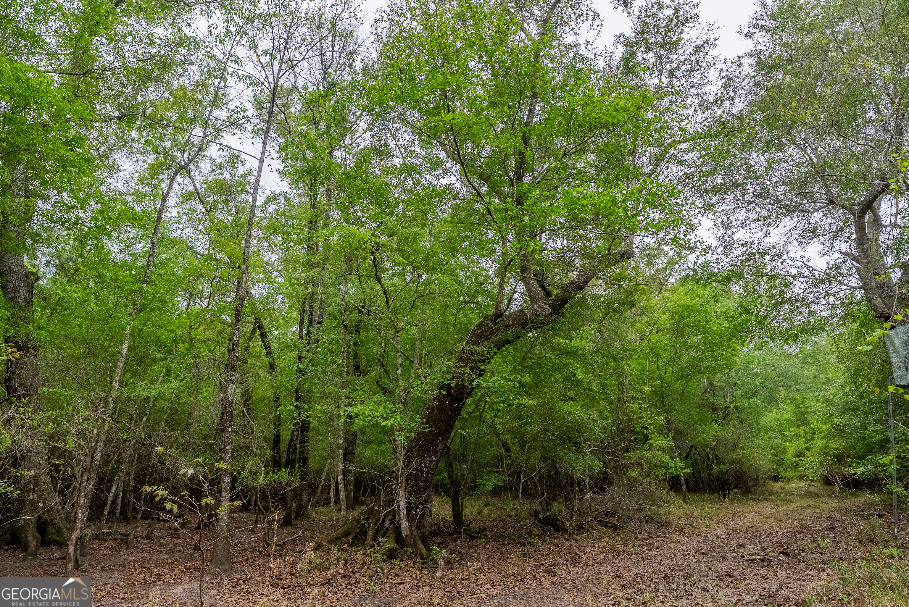 0 Highway 129 Abbeville GA 31001