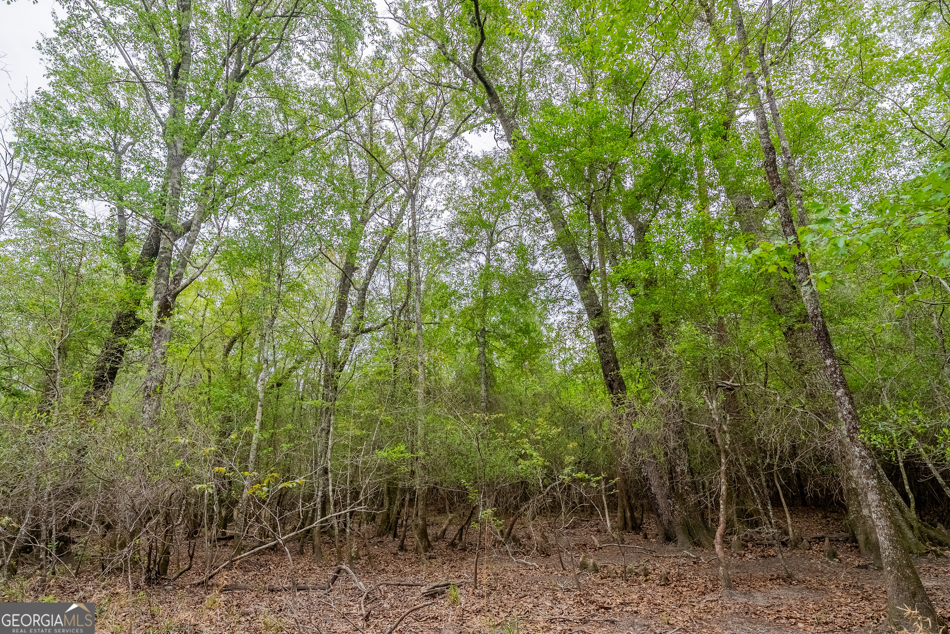 0 Highway 129 Abbeville GA 31001