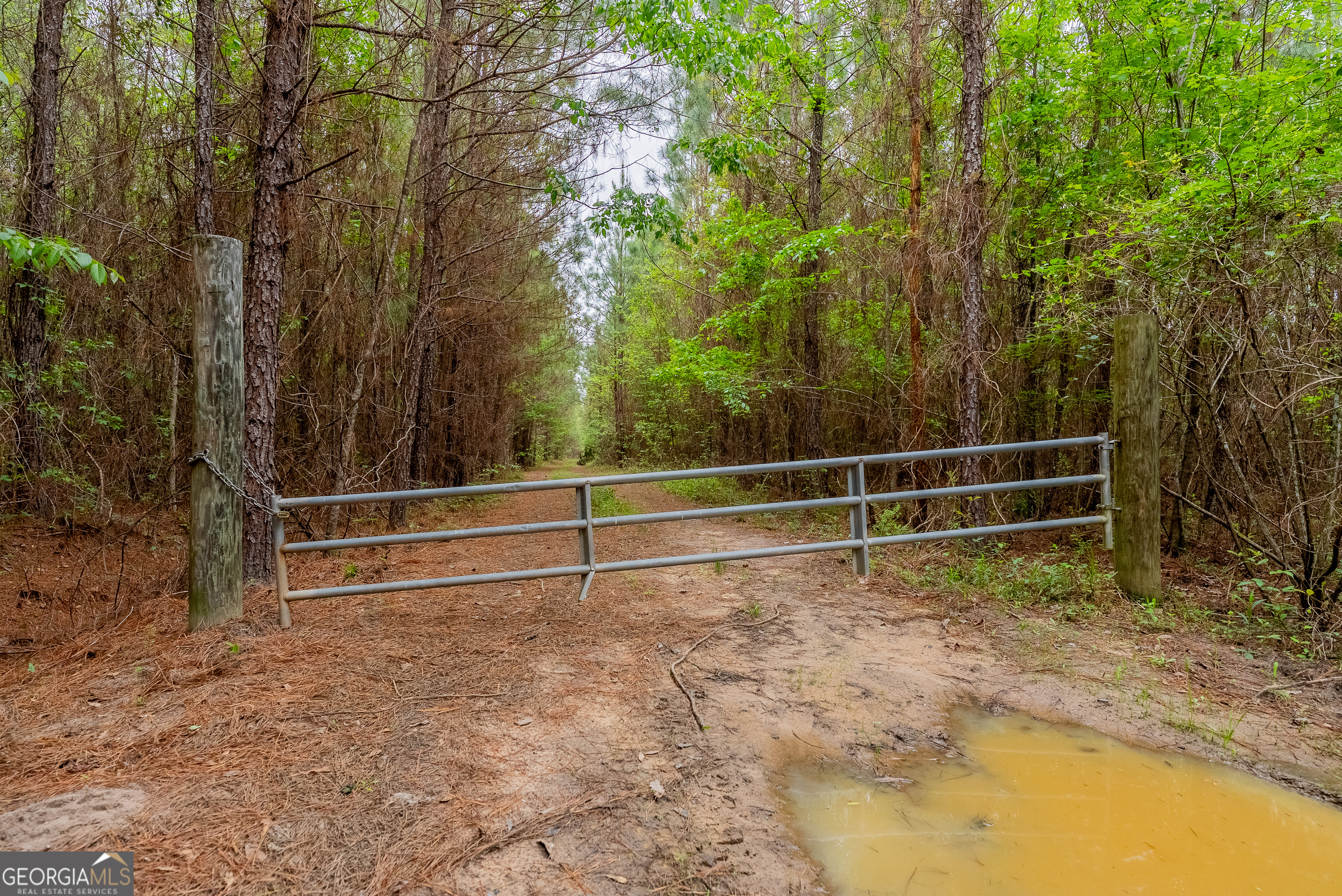 0 Highway 129 Abbeville GA 31001