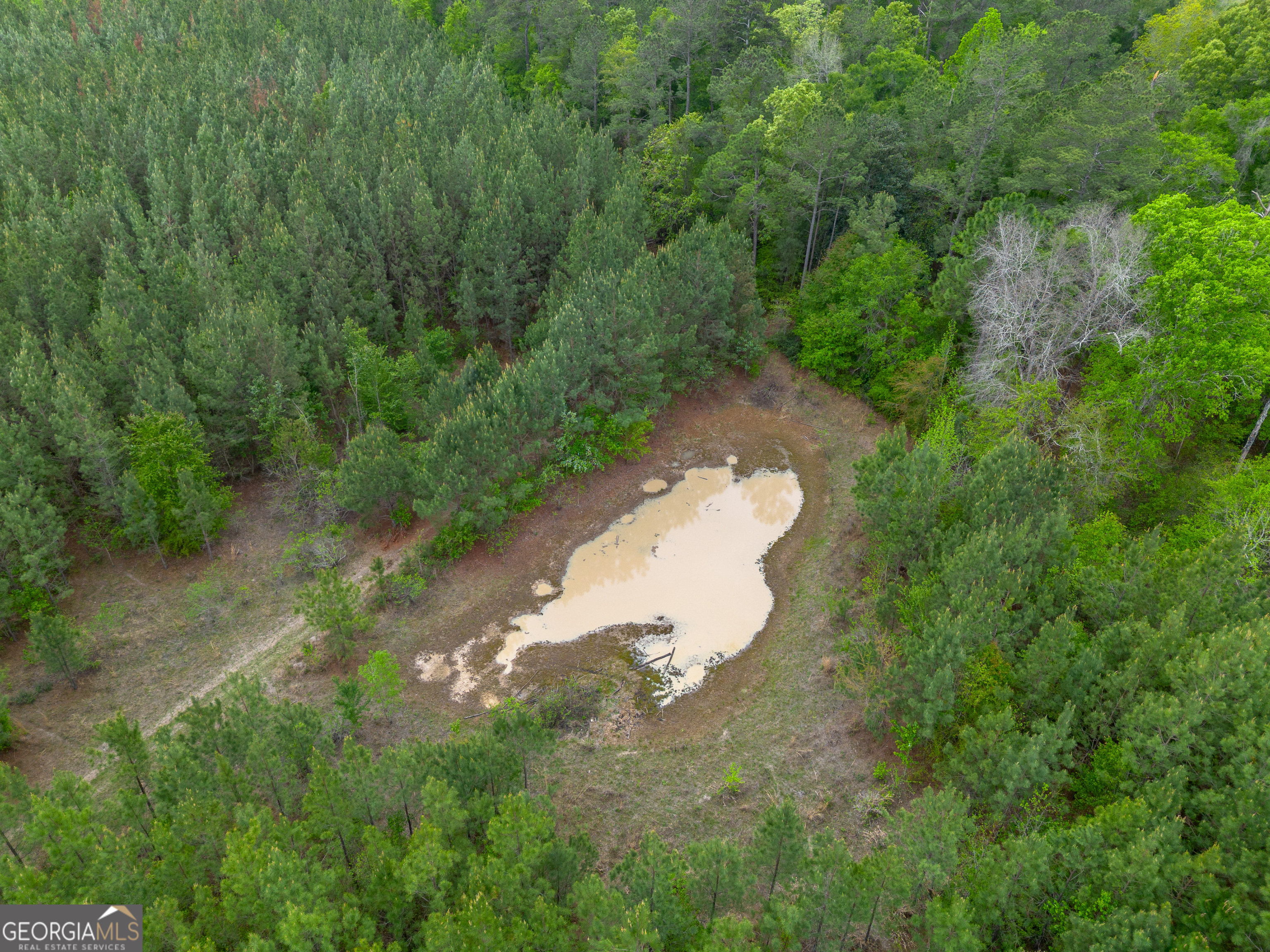 0 Highway 129 Abbeville GA 31001