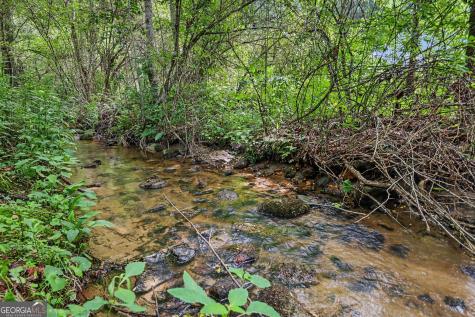 00 Coleman River Road Clayton GA 30525