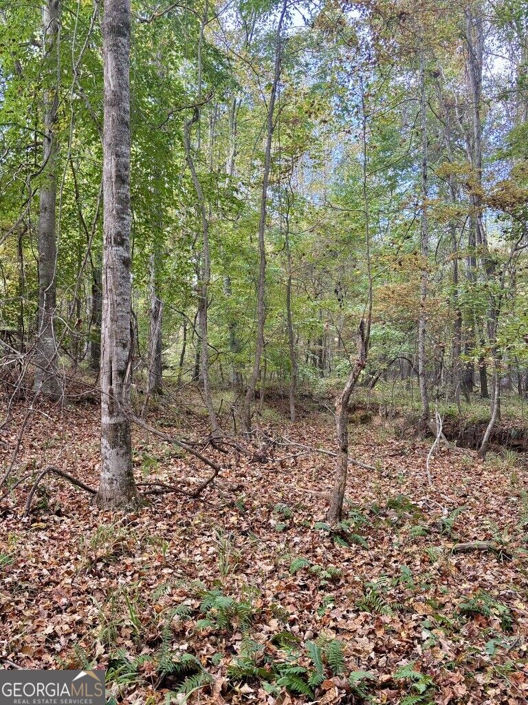 0 Maria Lane Ellerslie GA 31807