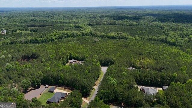 0 Maria Lane Ellerslie GA 31807