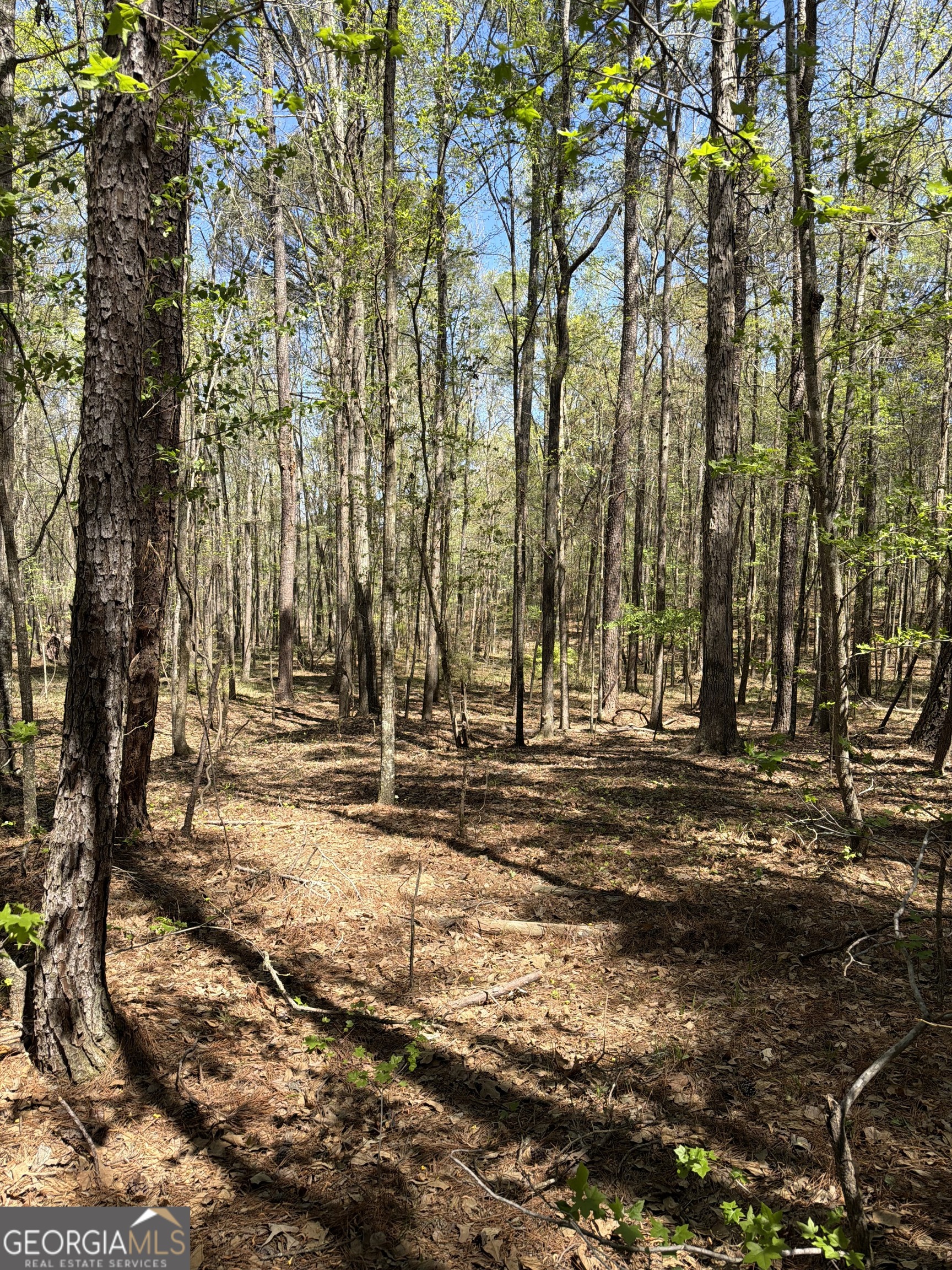0 Old Union Point Road Greensboro GA 30642