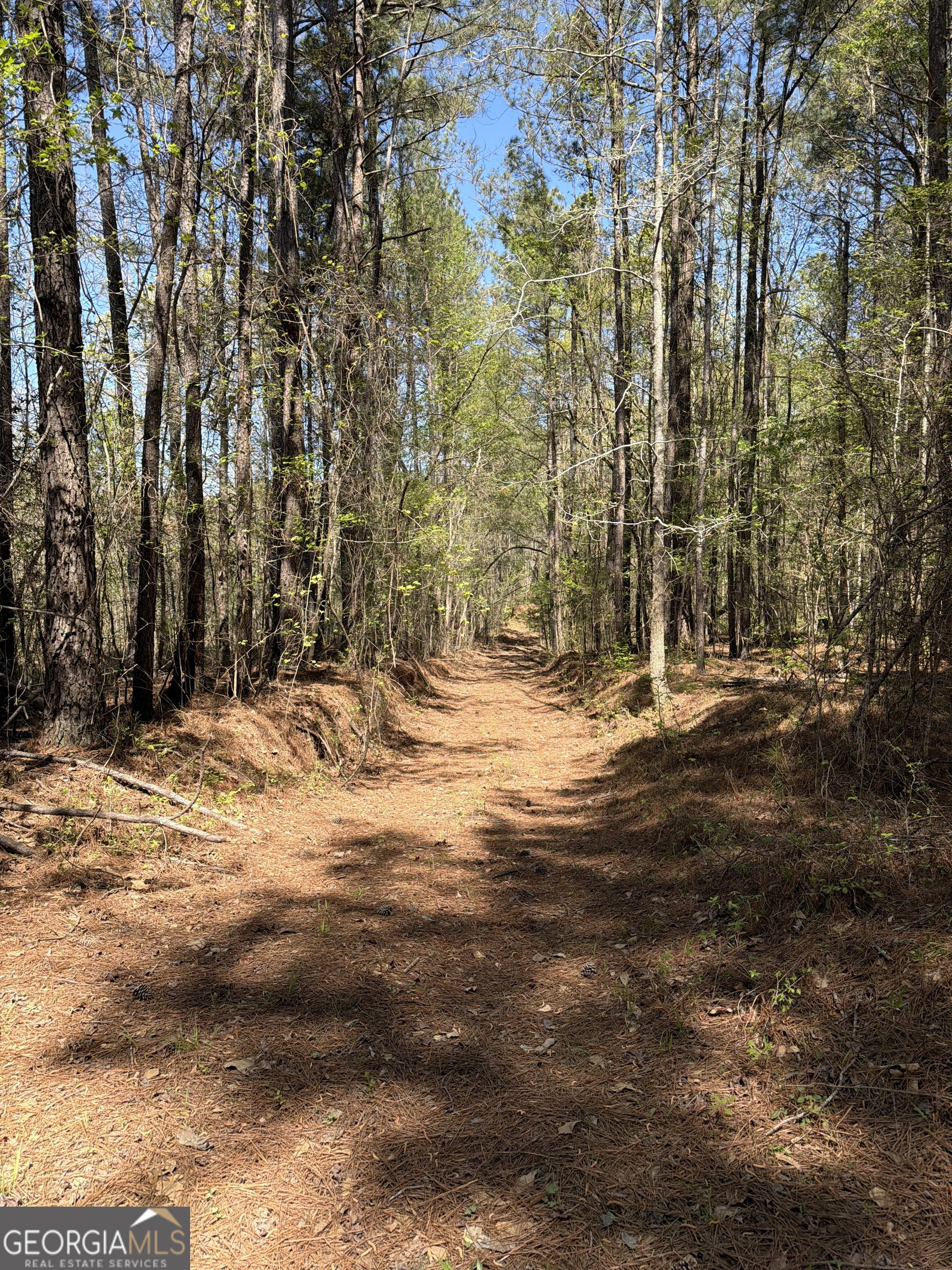 0 Old Union Point Road Greensboro GA 30642