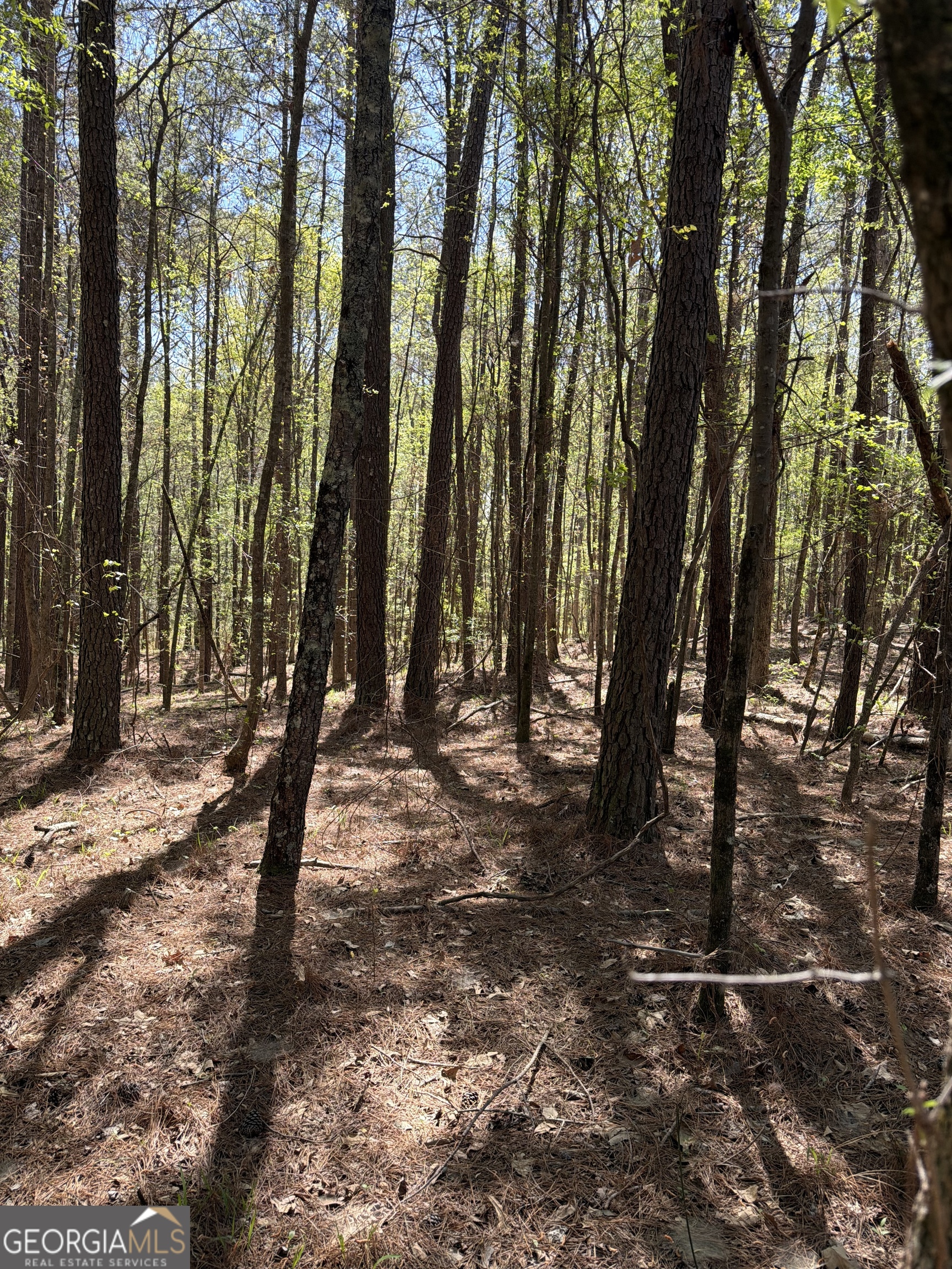 0 Old Union Point Road Greensboro GA 30642