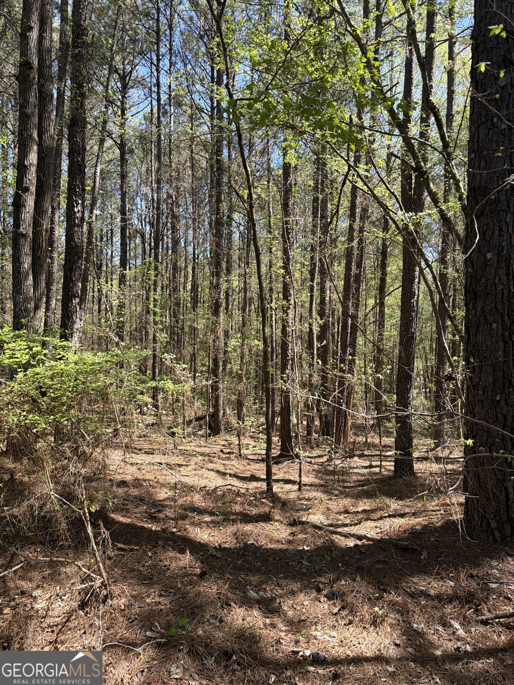 0 Old Union Point Road Greensboro GA 30642