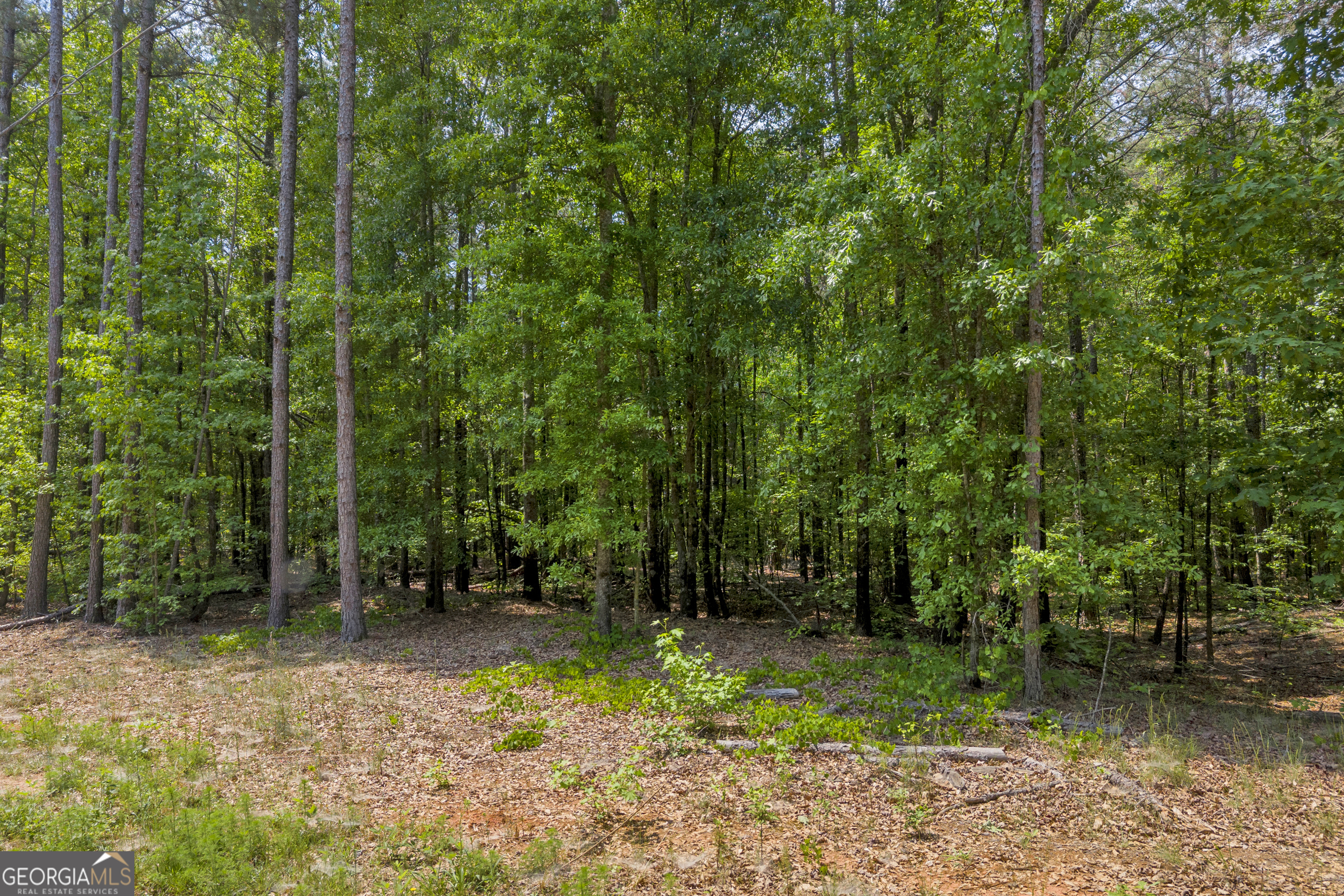 4343 Highway 106 S Hull GA 30646