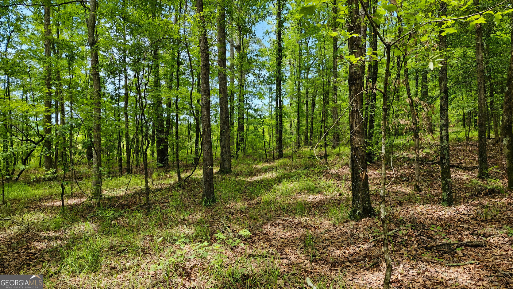 144 U.s Highway 341 S Barnesville GA 30204