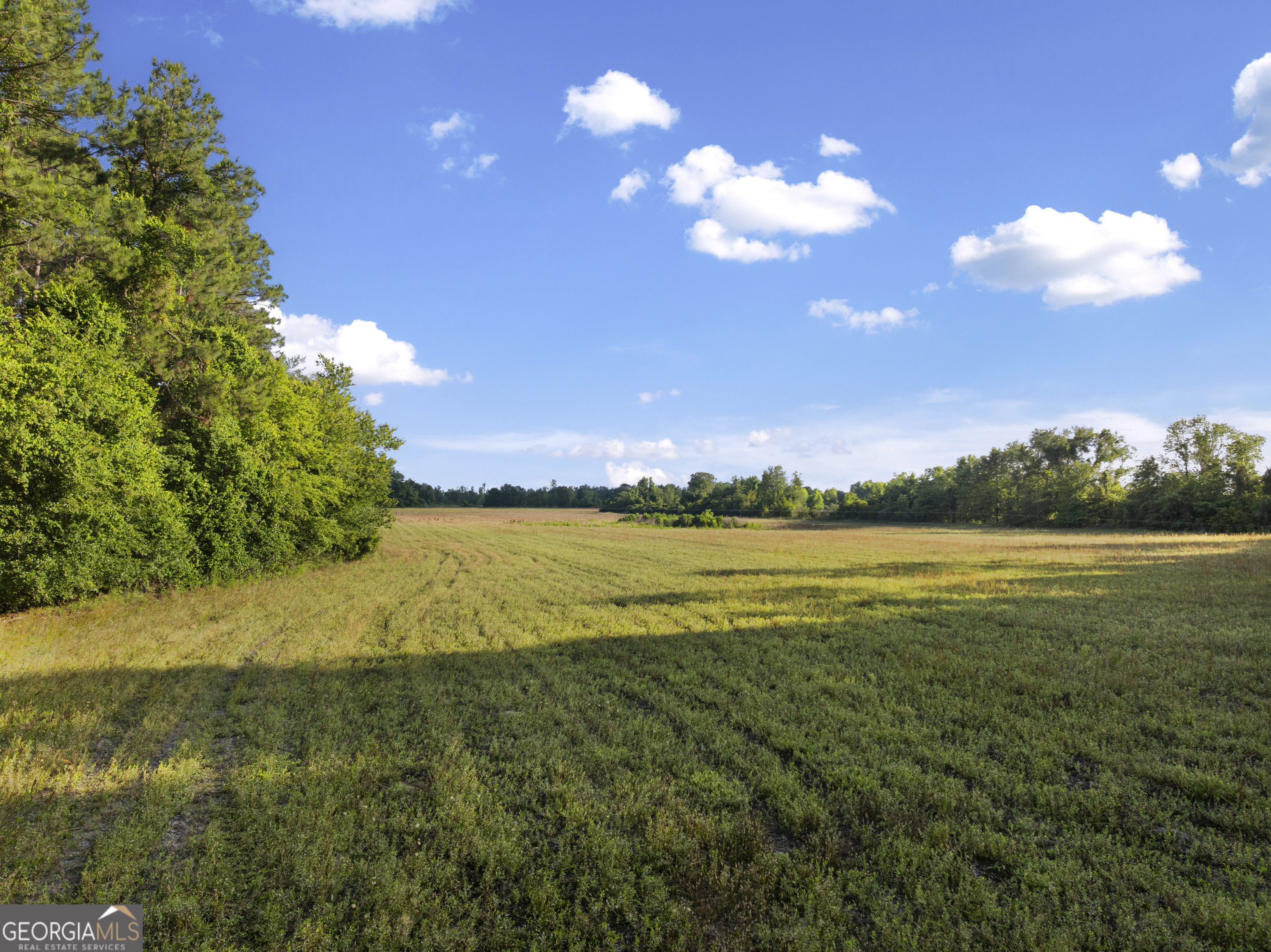 0 Douglas Highway Fitzgerald GA 31750