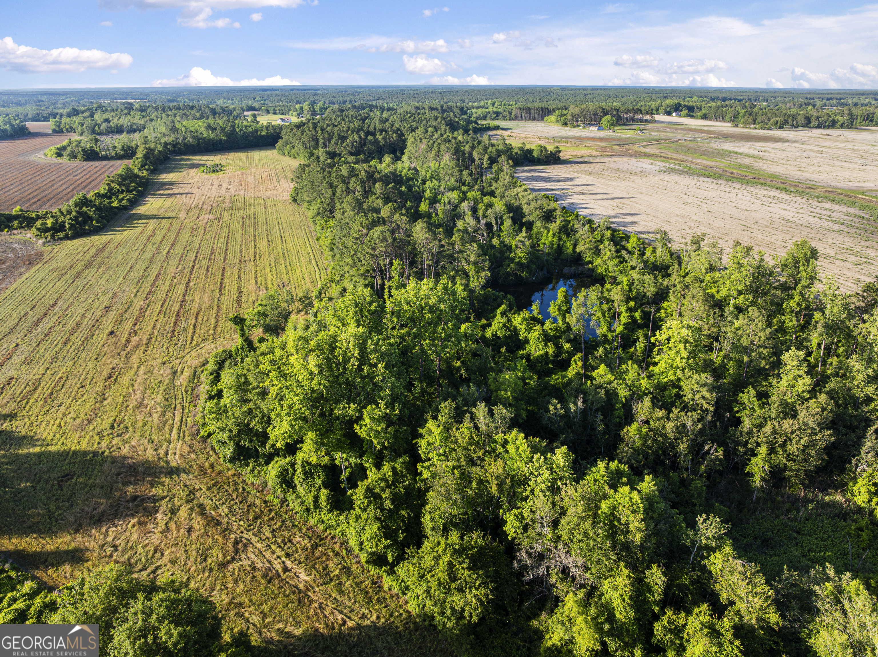 0 Douglas Highway Fitzgerald GA 31750