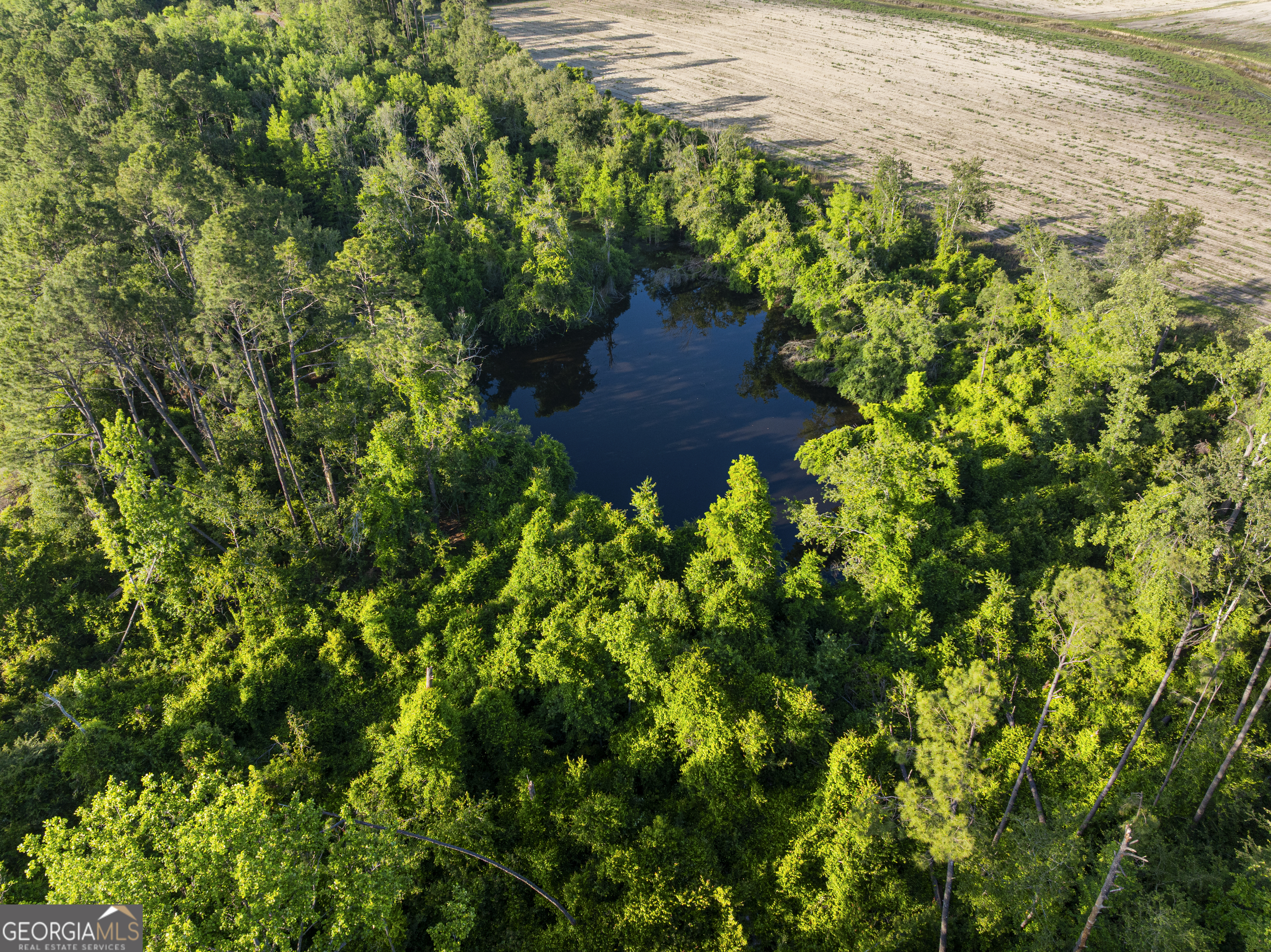 0 Douglas Highway Fitzgerald GA 31750