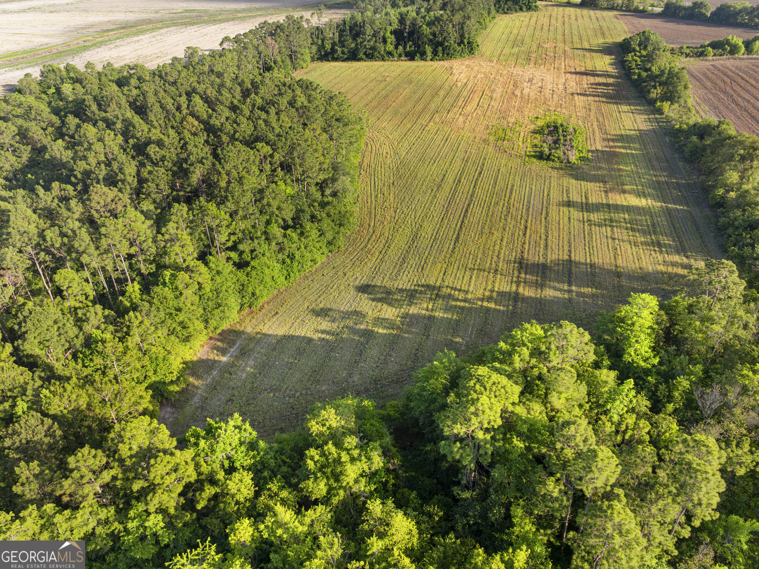 0 Douglas Highway Fitzgerald GA 31750