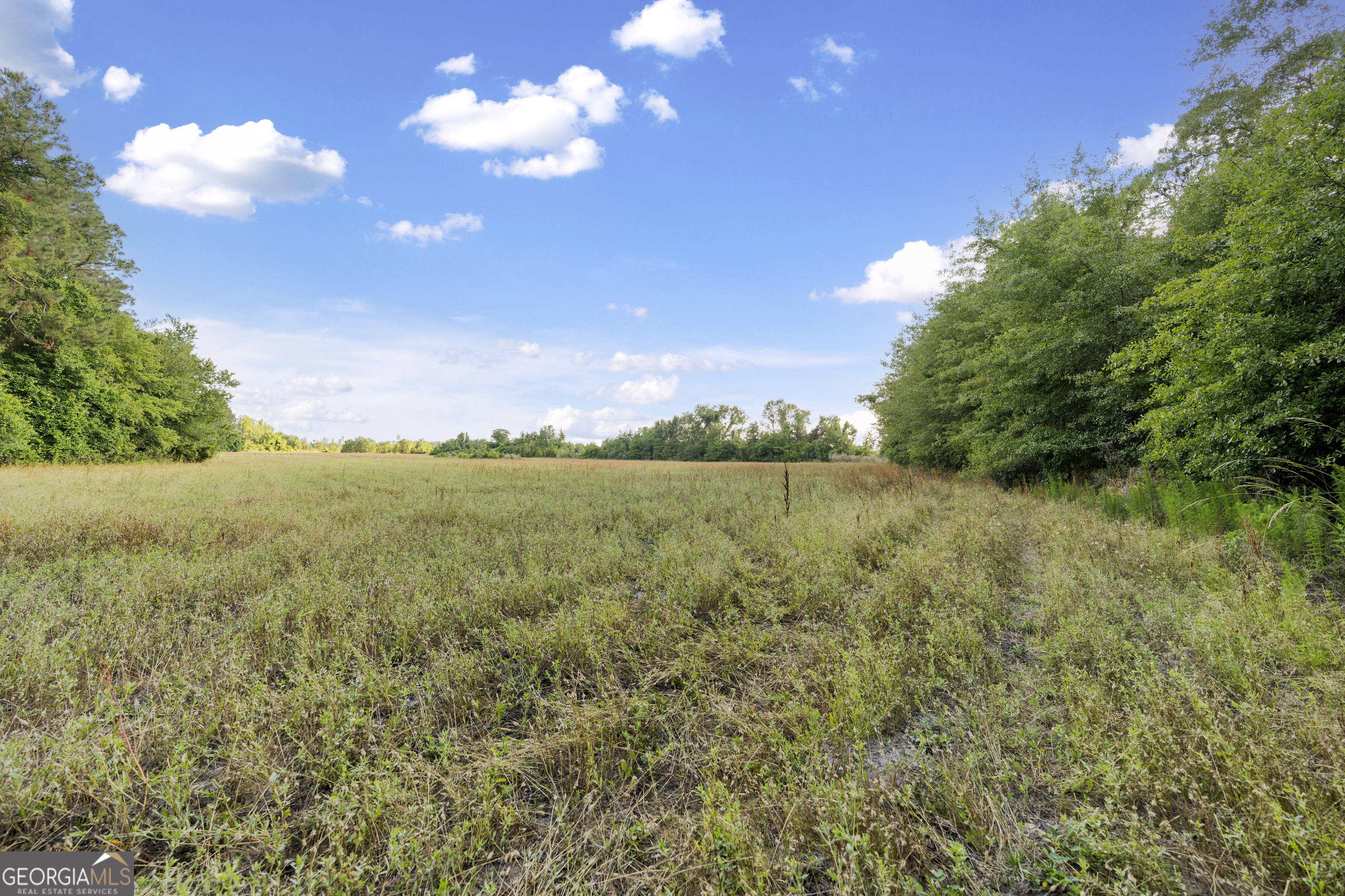 0 Douglas Highway Fitzgerald GA 31750