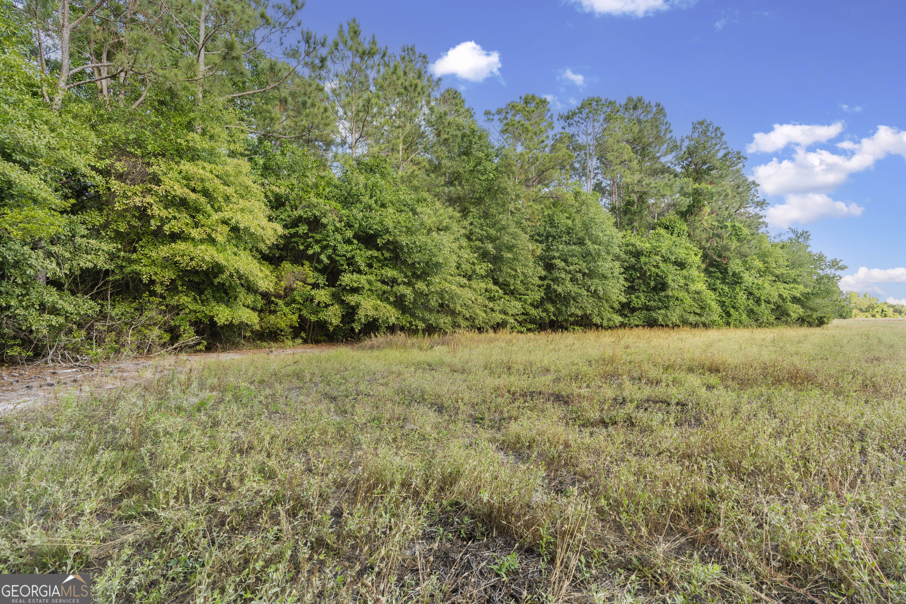 0 Douglas Highway Fitzgerald GA 31750