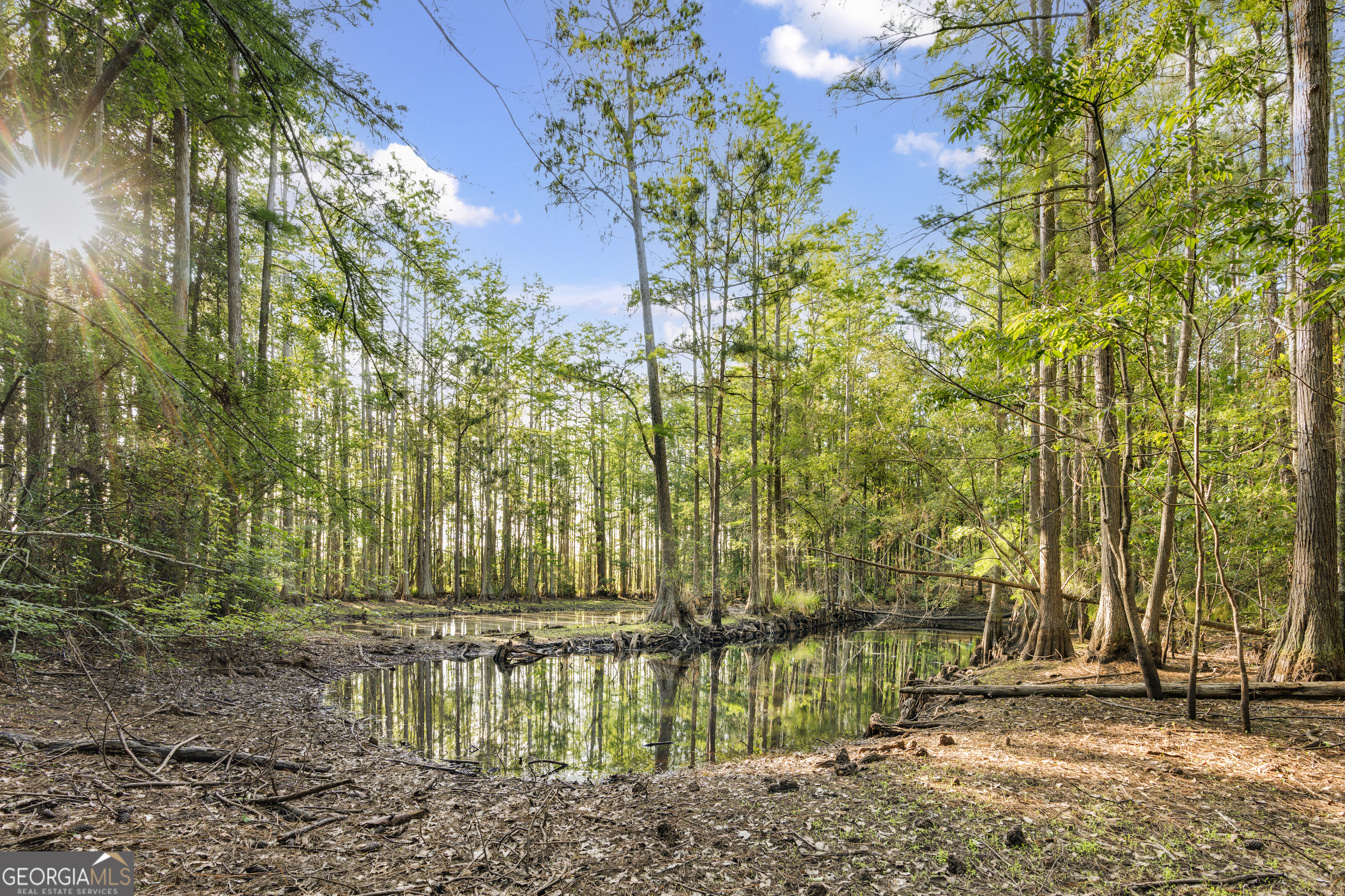 0 Douglas Highway Fitzgerald GA 31750