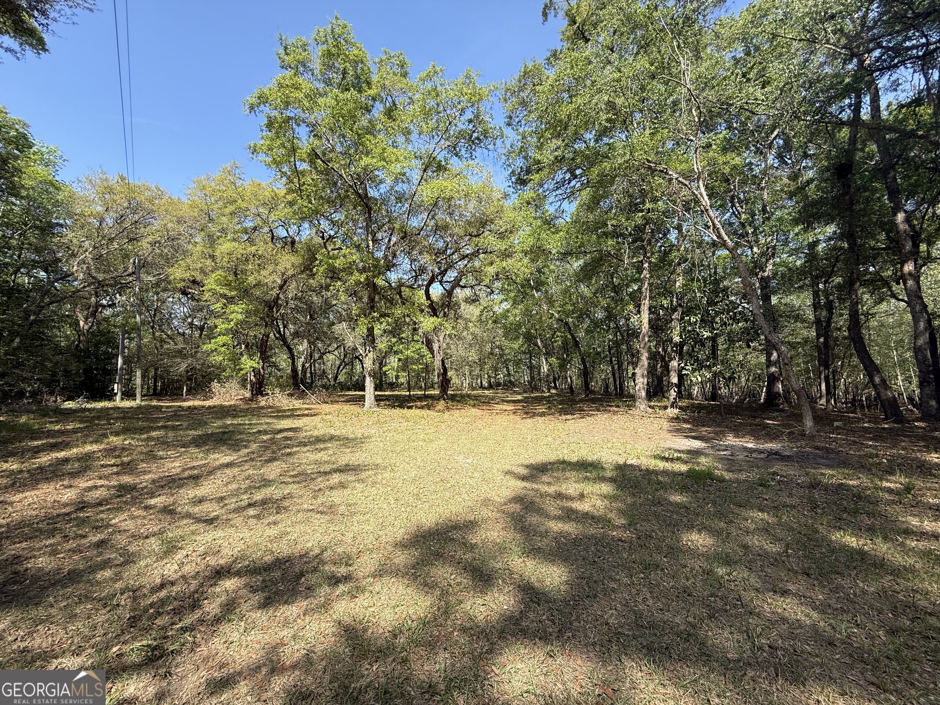 315 High Bluff Road Rincon GA 31326