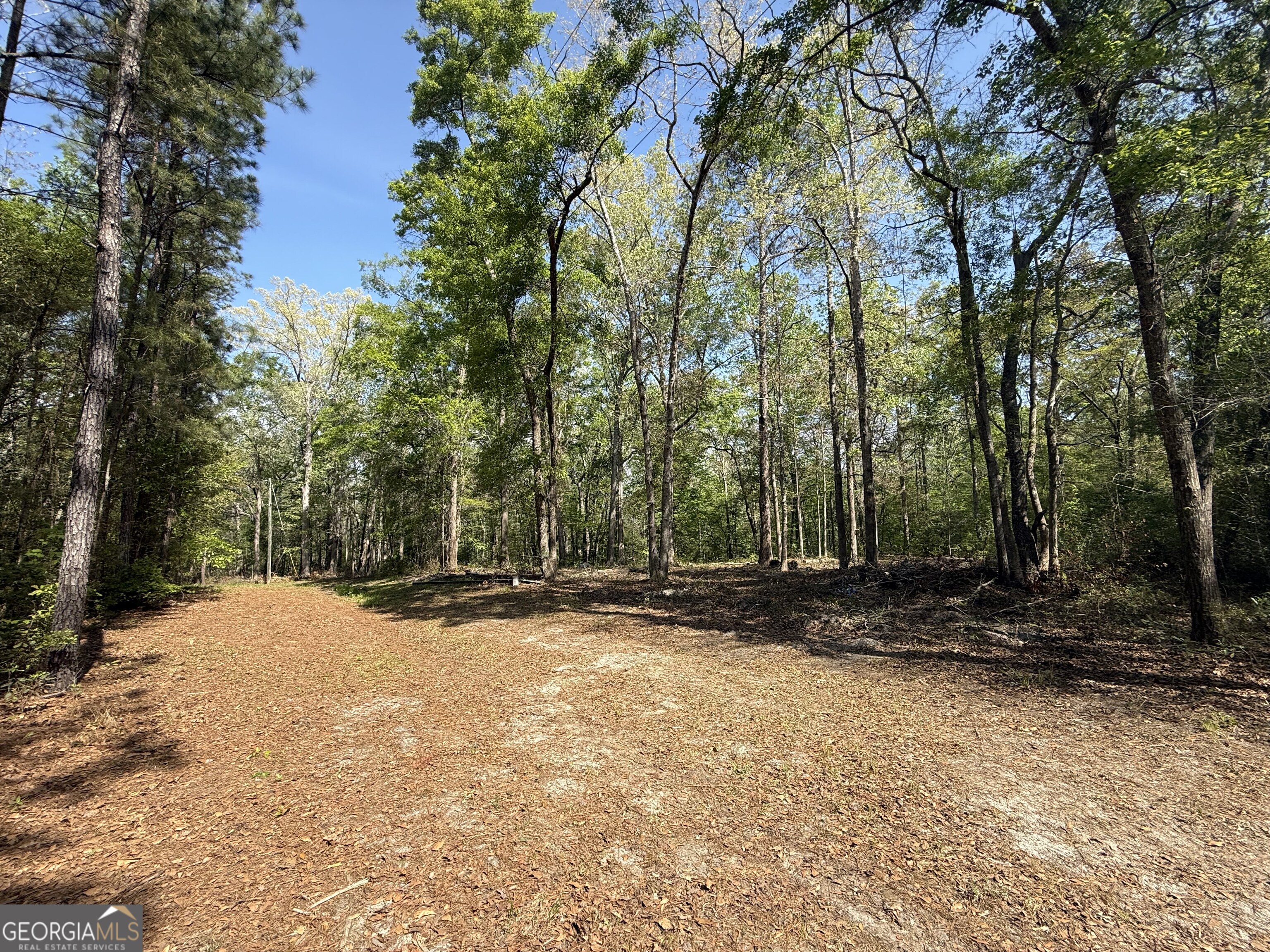 315 High Bluff Road Rincon GA 31326