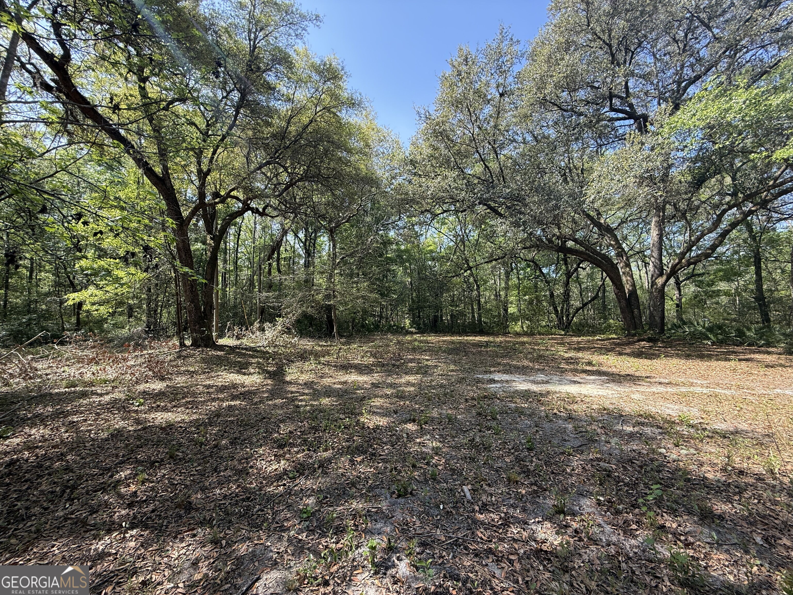 315 High Bluff Road Rincon GA 31326