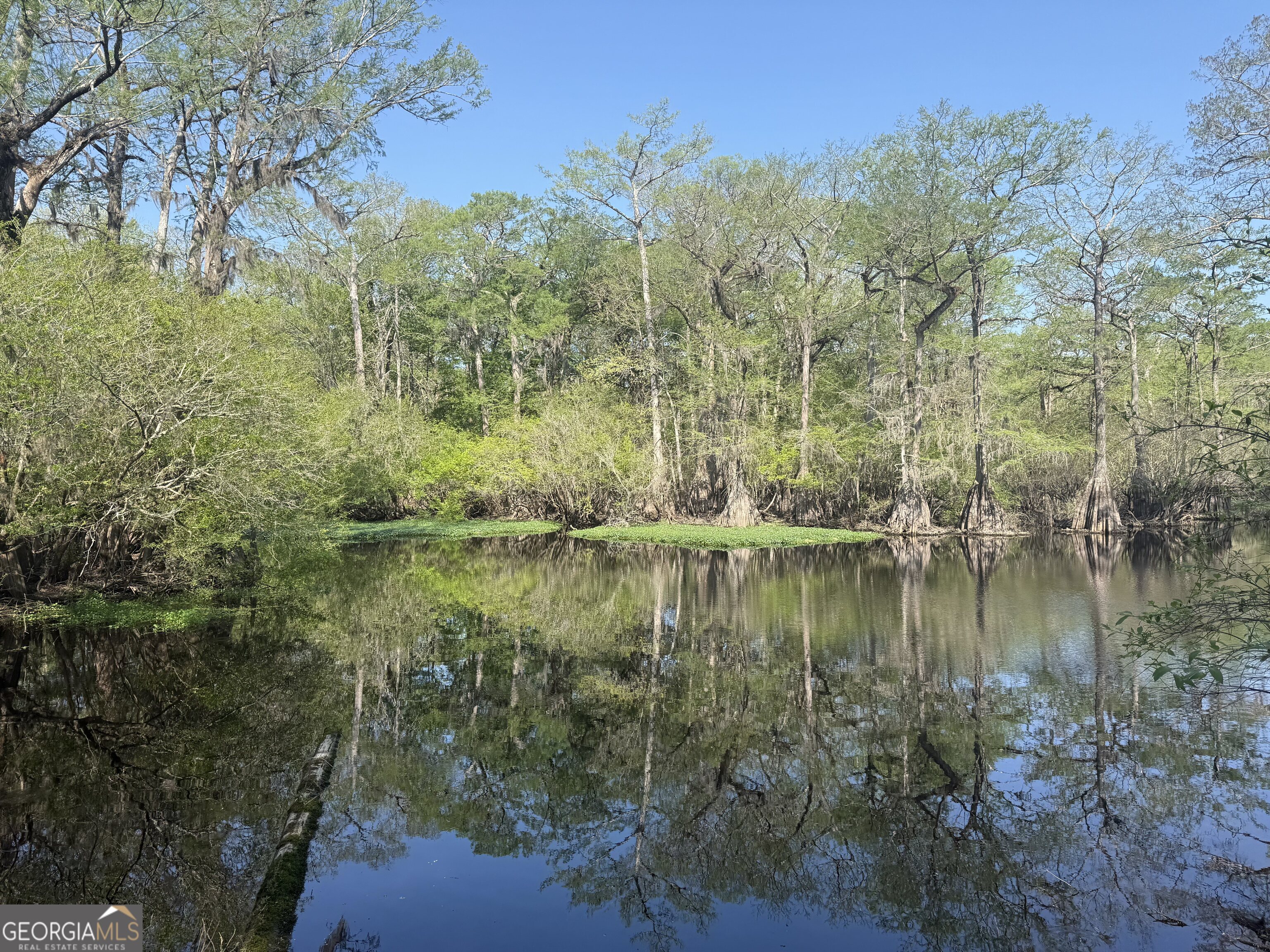 315 High Bluff Road Rincon GA 31326