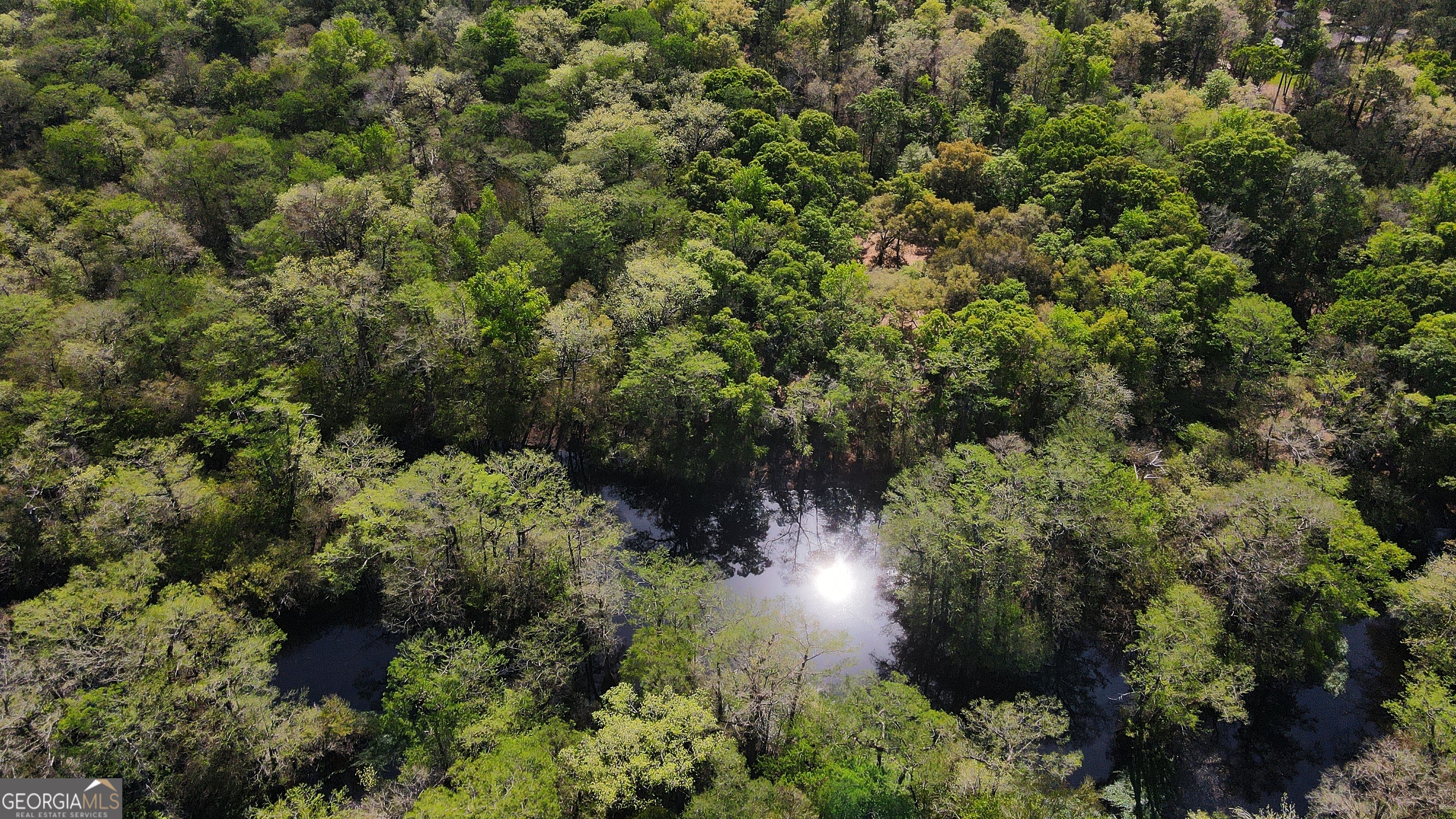 315 High Bluff Road Rincon GA 31326