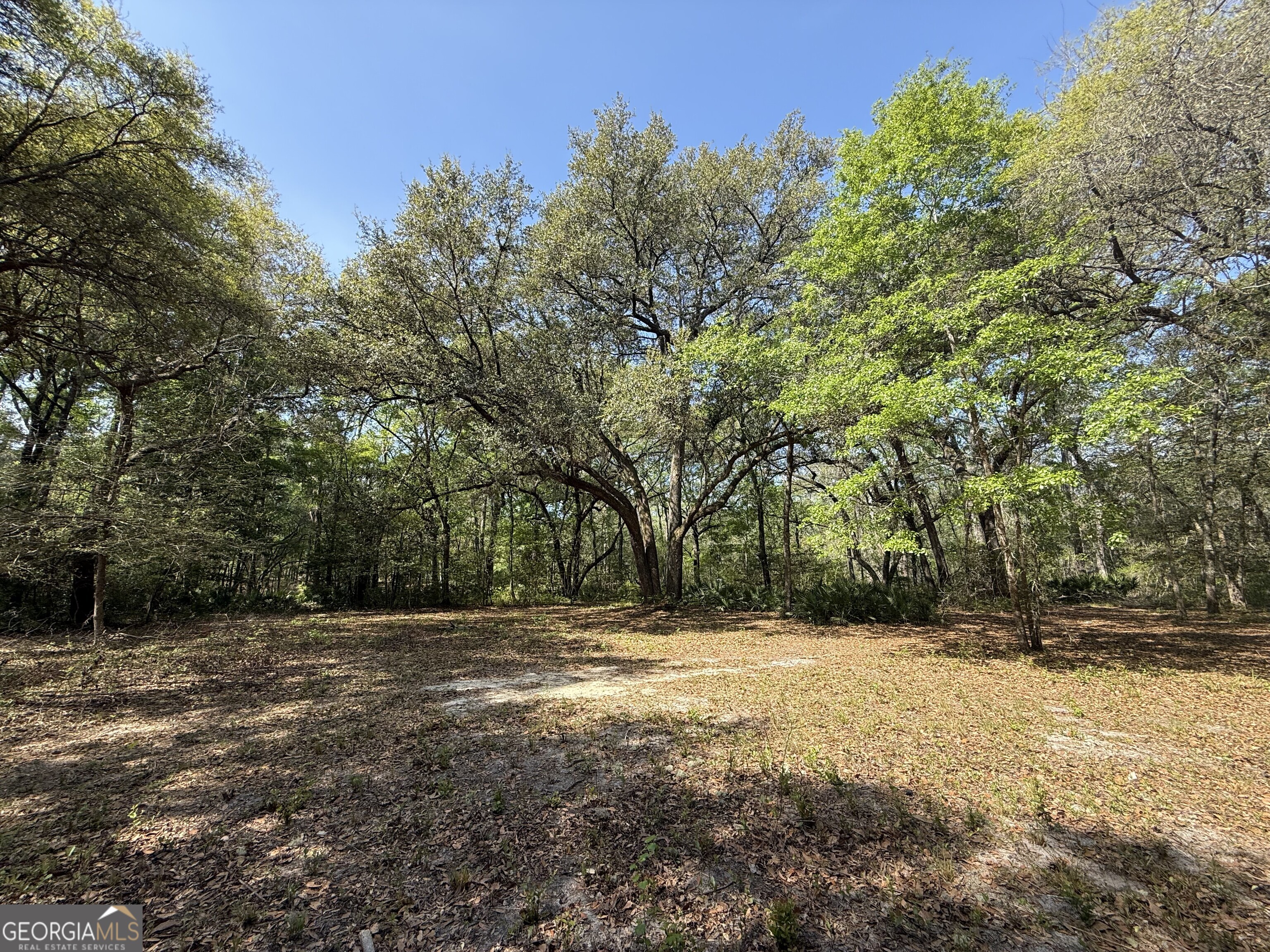 315 High Bluff Road Rincon GA 31326