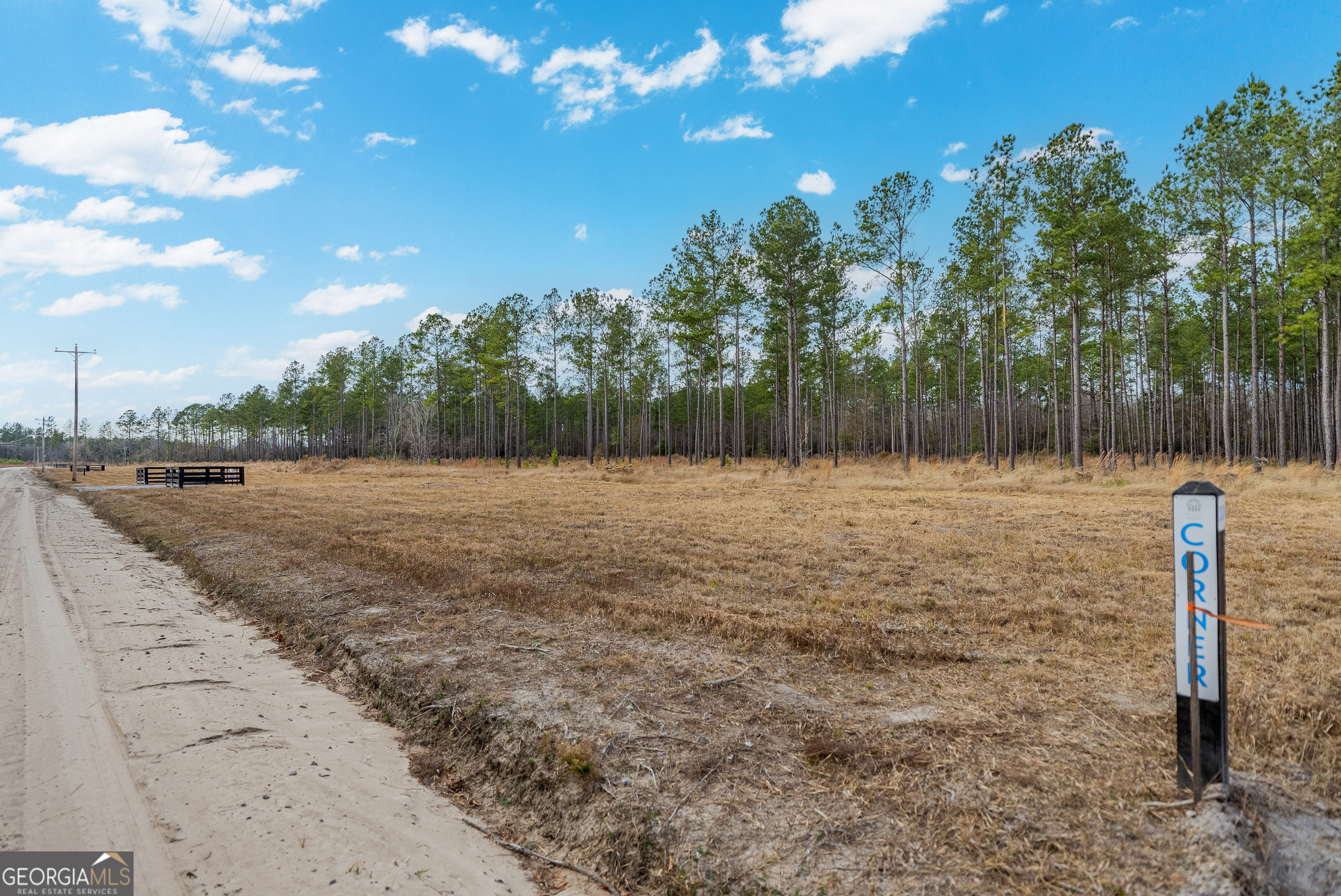 Lot 19 Lanes Church Road Brooklet GA 30415